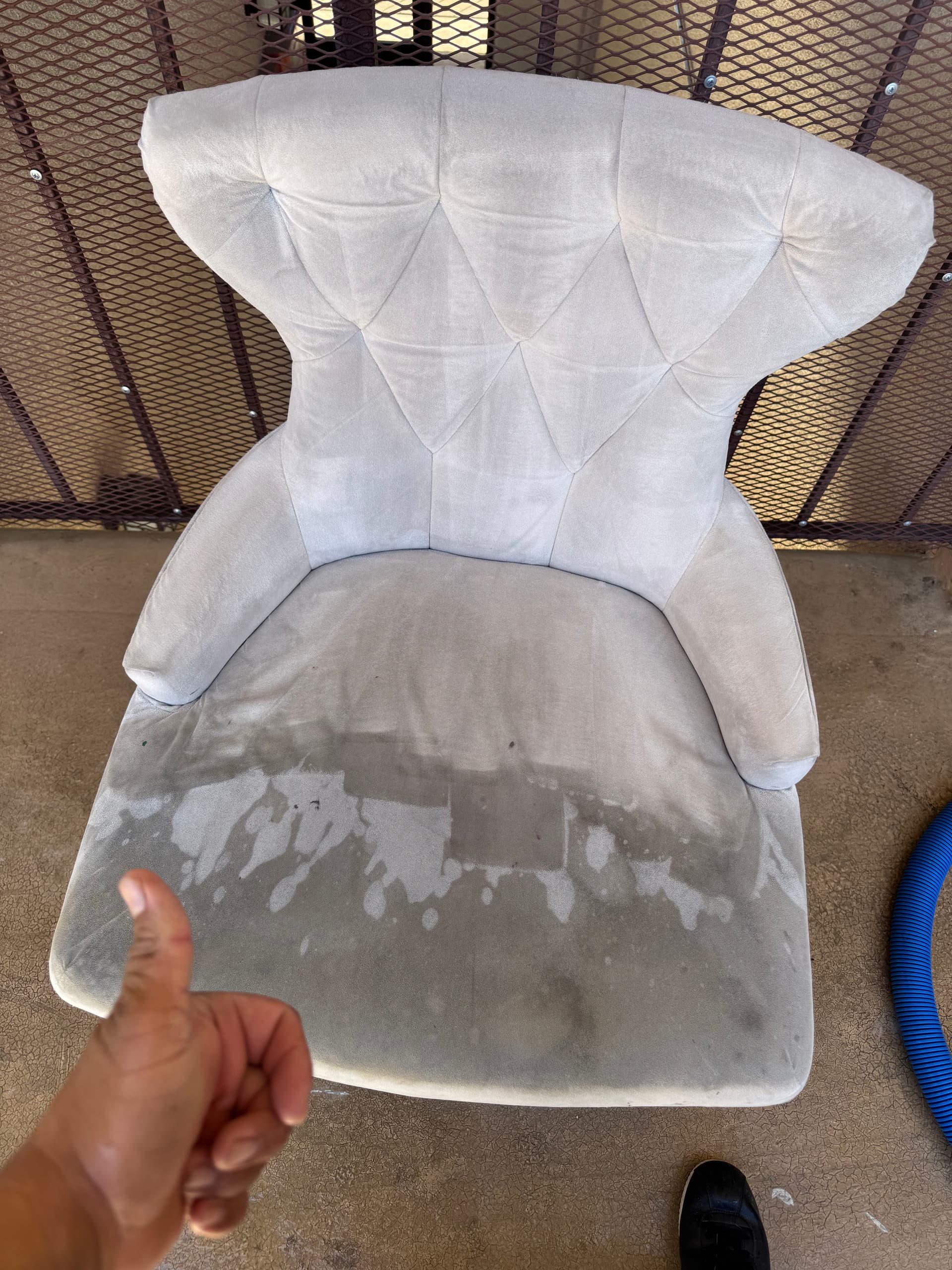 Gallery photos for Chair Upholstery Cleaning in Beverly Hills: Image #1