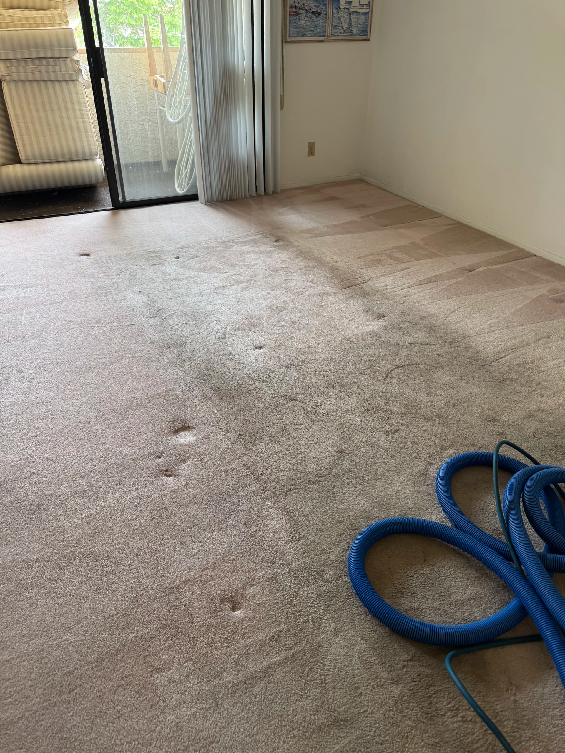 Gallery photos for Carpet Cleaning That Actually Gets the Dirt Out in Marina del Rey: Image #3