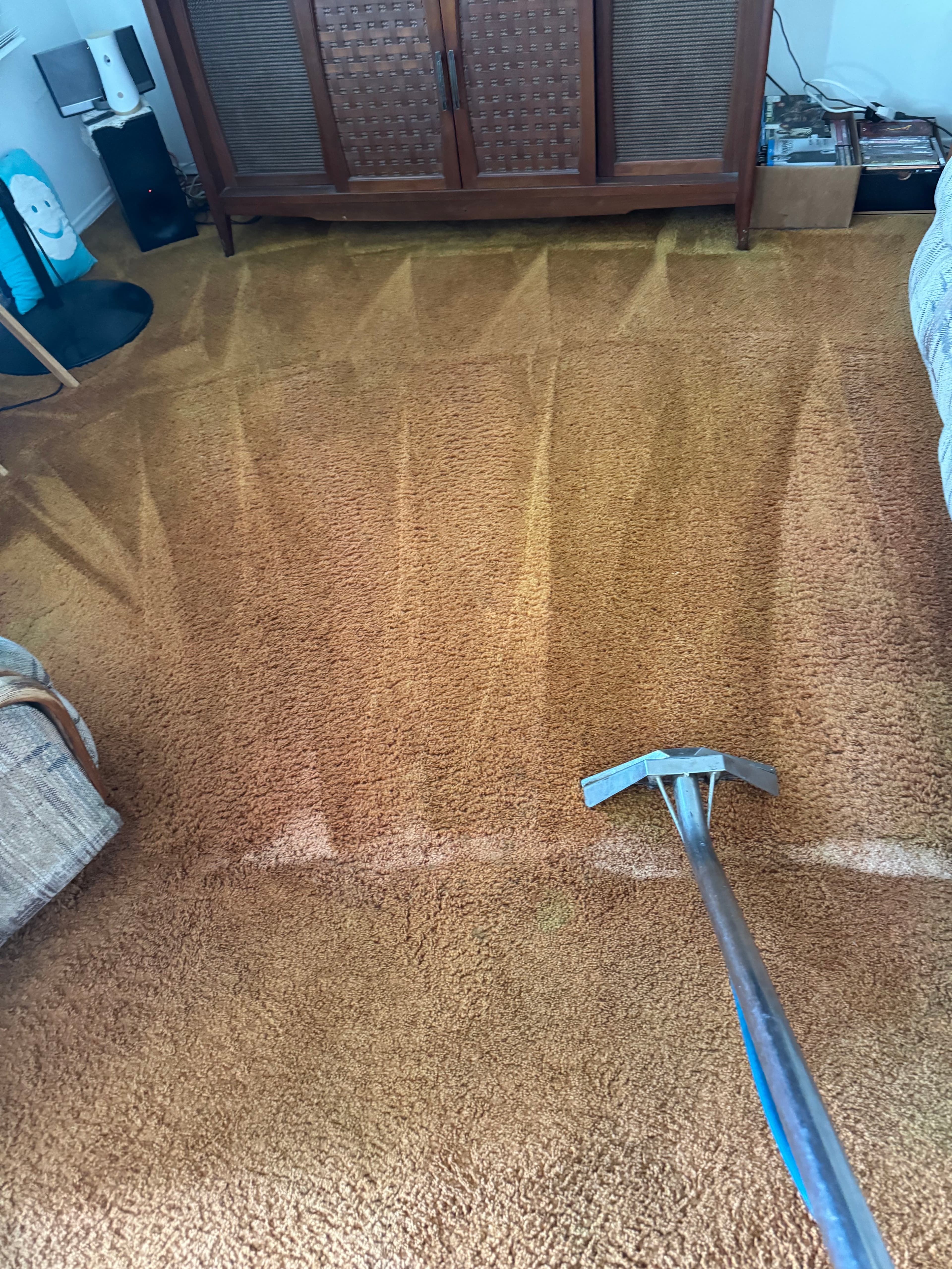 Project Reviving Carpets in Beverly Hills image