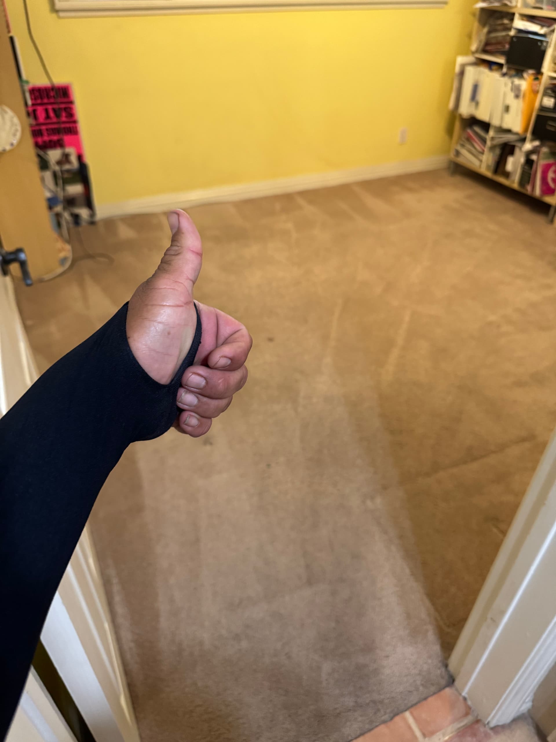 Gallery photos for Sun Valley Carpet Cleaning That Pulls Out the Tough Stuff: Image #3