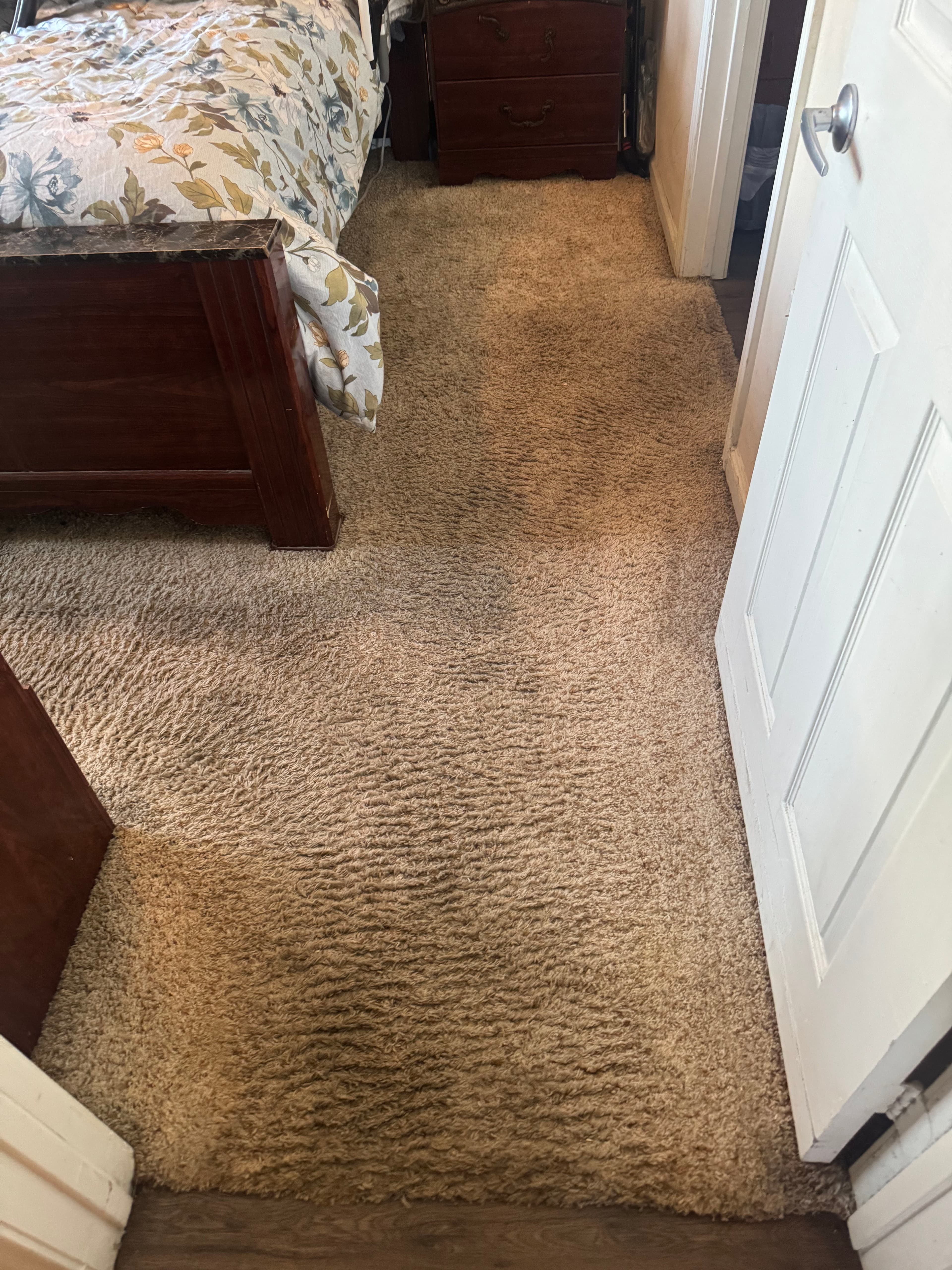 Project Carpet Cleaning Magic in Thousand Oaks image