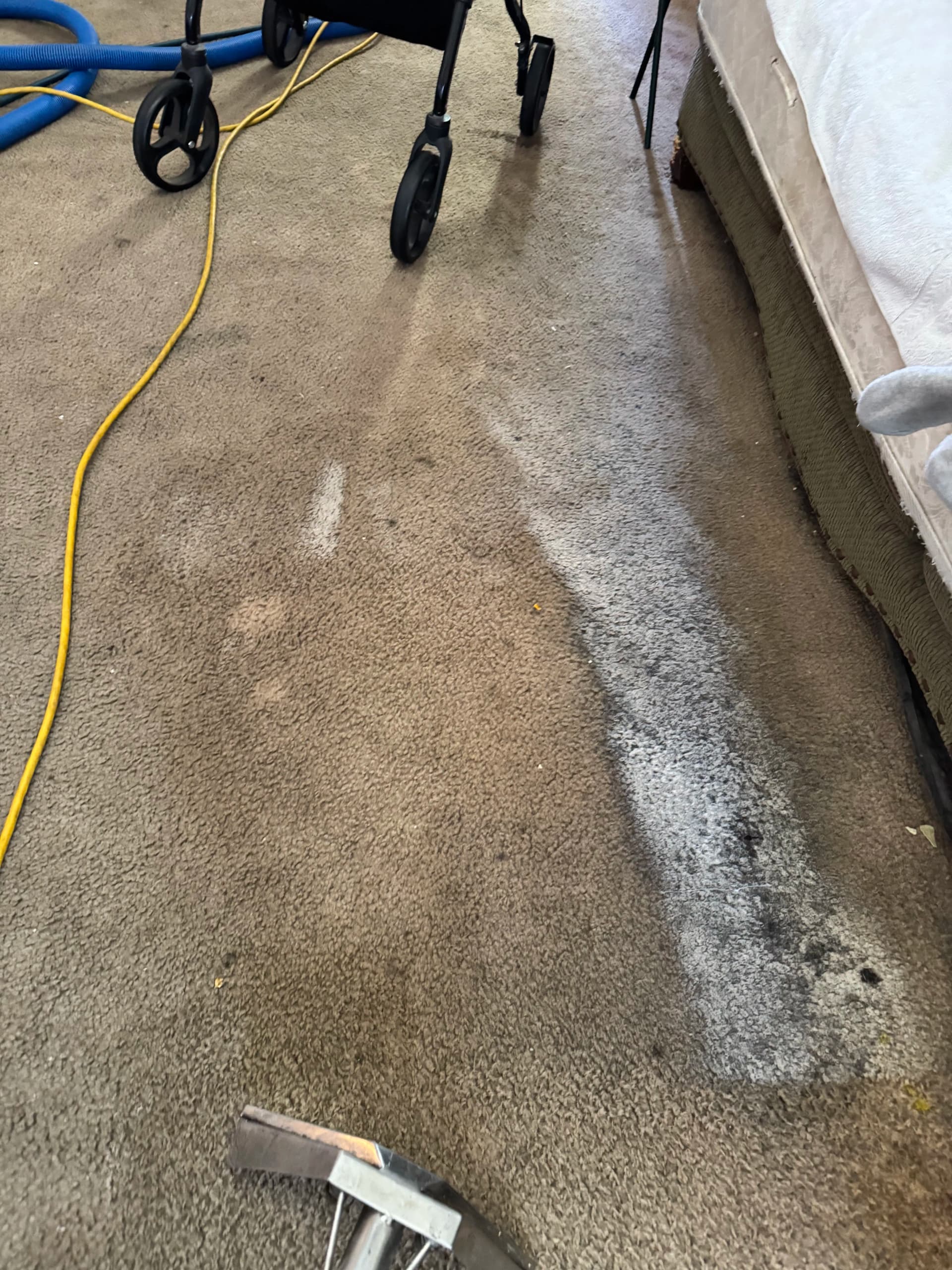 Deep Carpet Cleaning Pulls Years of Dirt in Canoga Park image