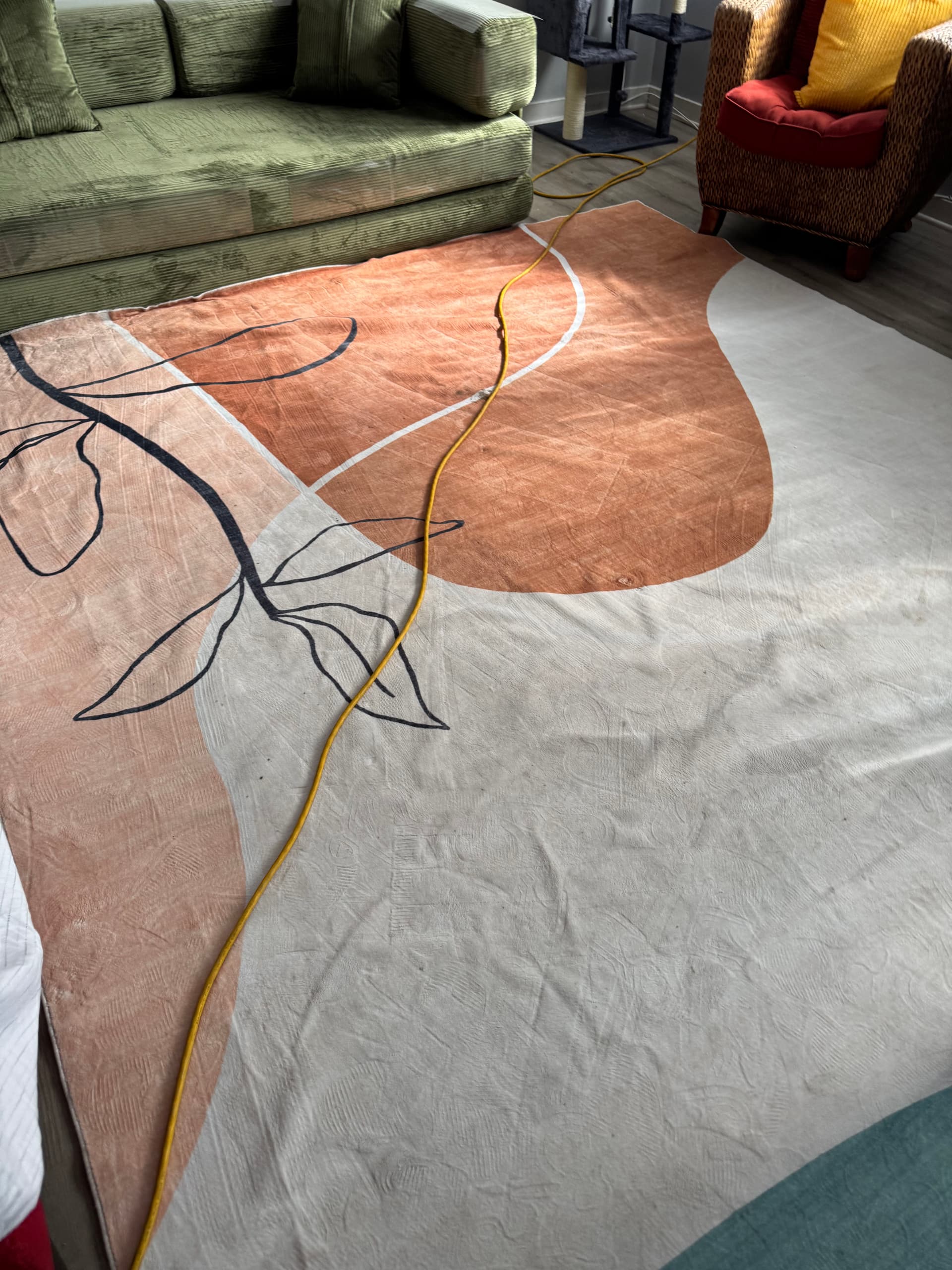 Gallery photos for Sofa and Rug Cleaning Done Right in Inglewood: Image #1