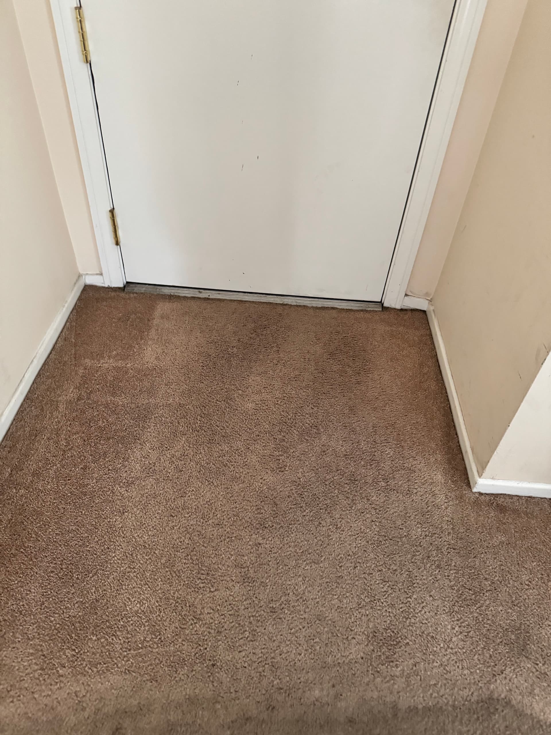 Gallery photos for Carpet Cleaning and Stain Removal in Oxnard: Image #1
