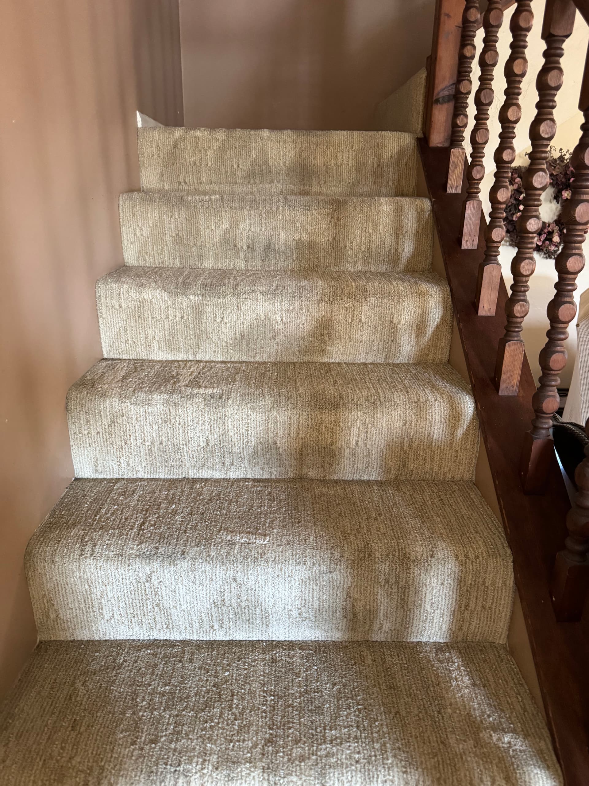 Gallery photos for Dirty Carpeted Stairs in Venice Get a Deep Clean: Image #1