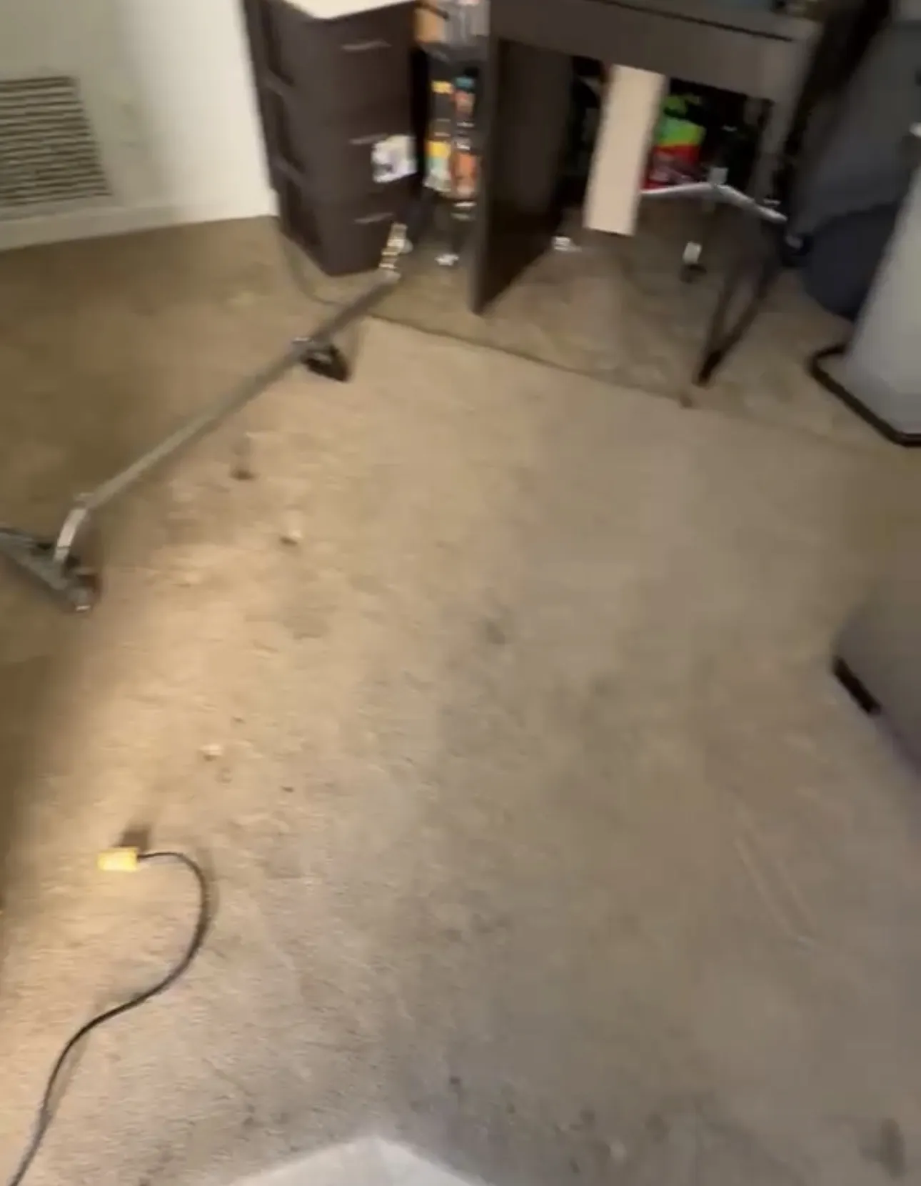 Deep Carpet Cleaning That Actually Works in Van Nuys image