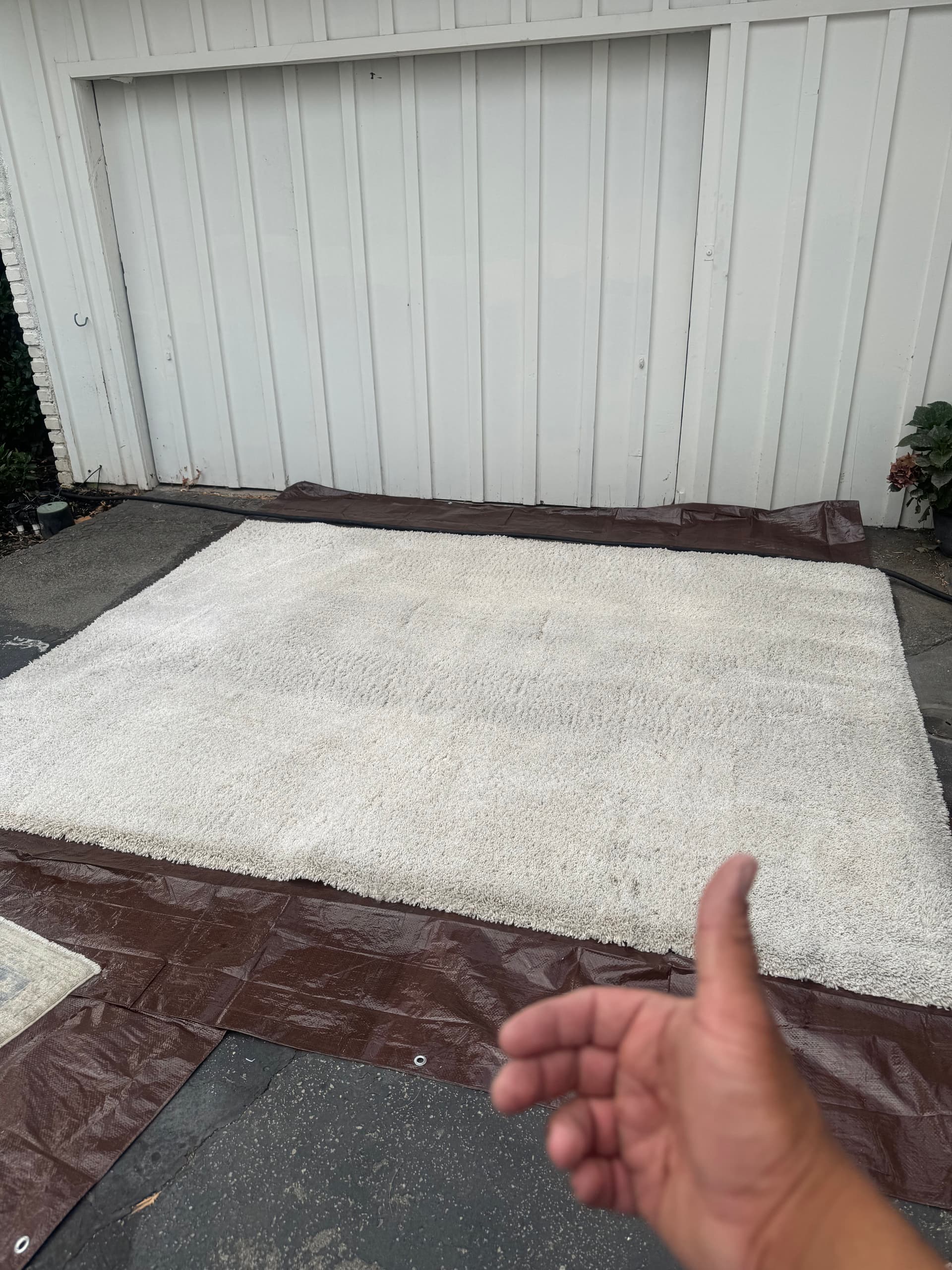 Gallery photos for Deep Rug Cleaning Done Right in Thousand Oaks: Image #2