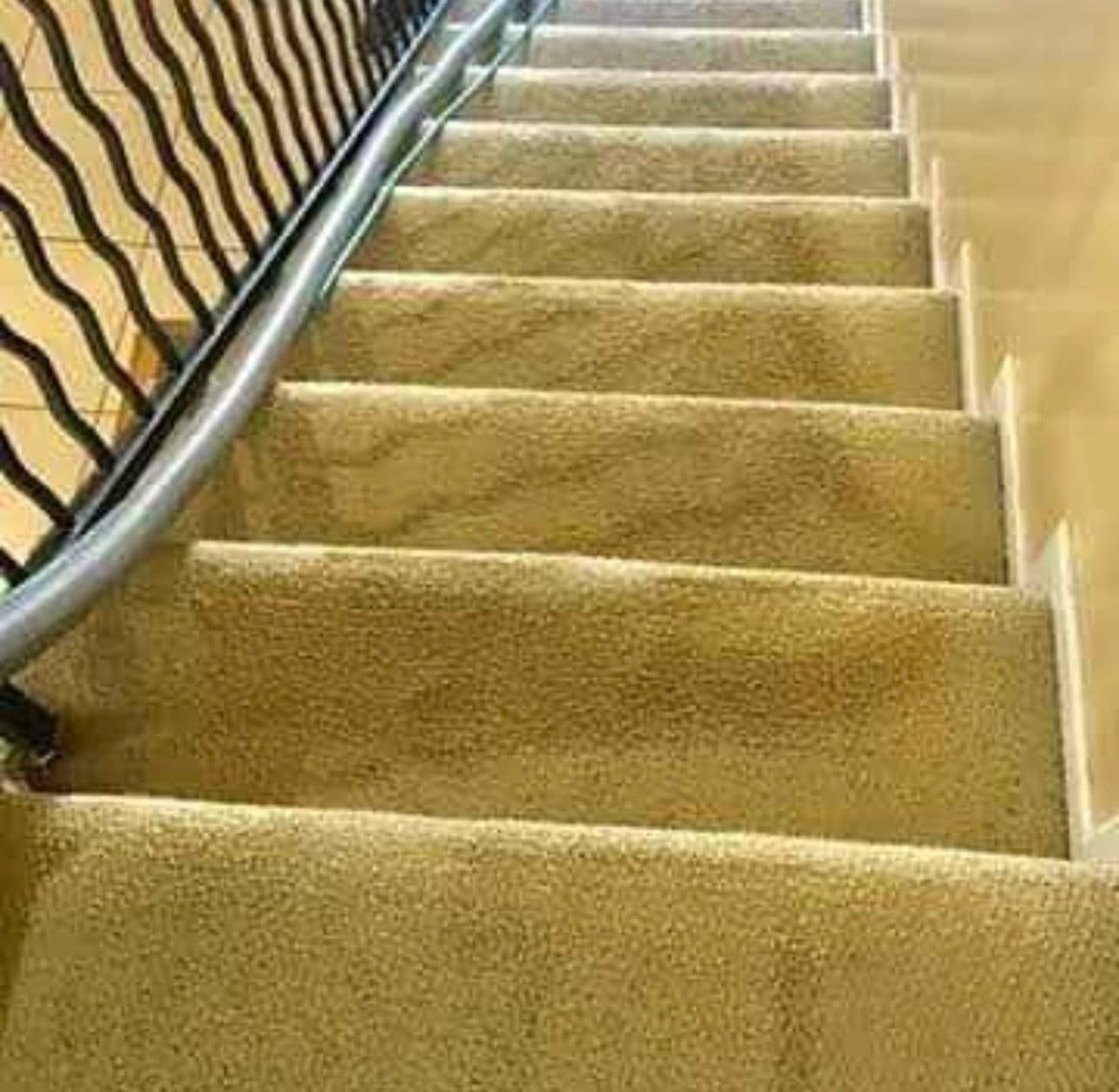 Gallery photos for Deep carpet cleaning on stairs and hallway in pasadena: Image #1