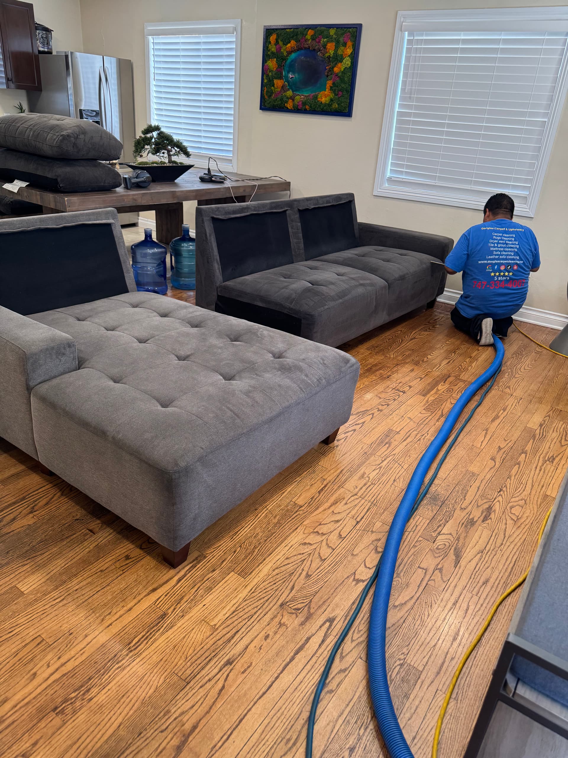 Sofa Cleaning Done Right in Canoga Park image