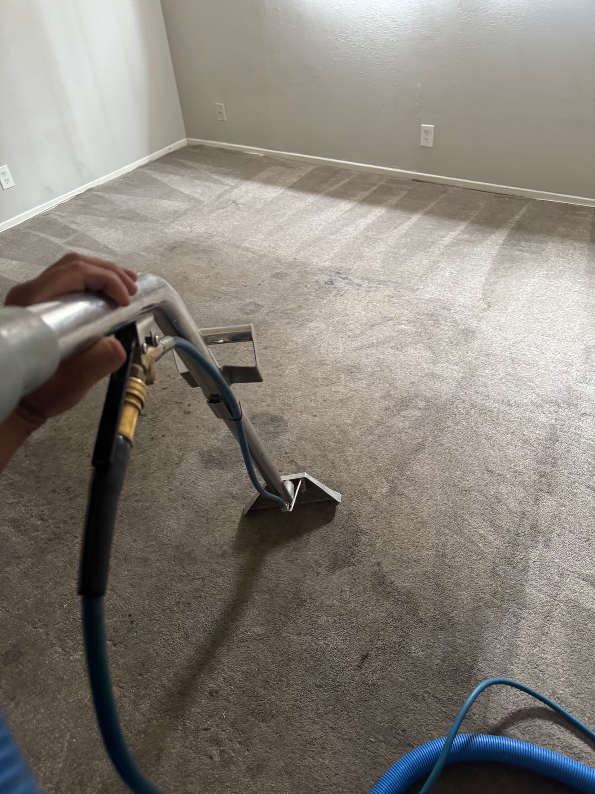 Gallery photos for Carpet Cleaning Job Done Right in Pasadena TX: Image #1