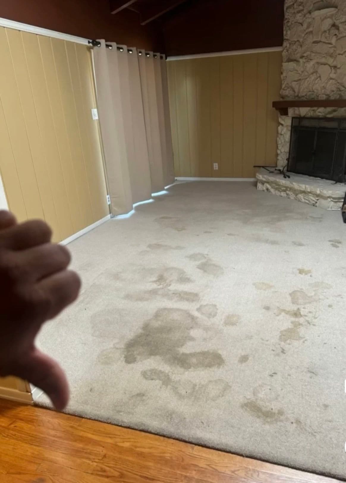 Gallery photos for Living Room Carpet Cleaning in Manhattan Beach: Image #1