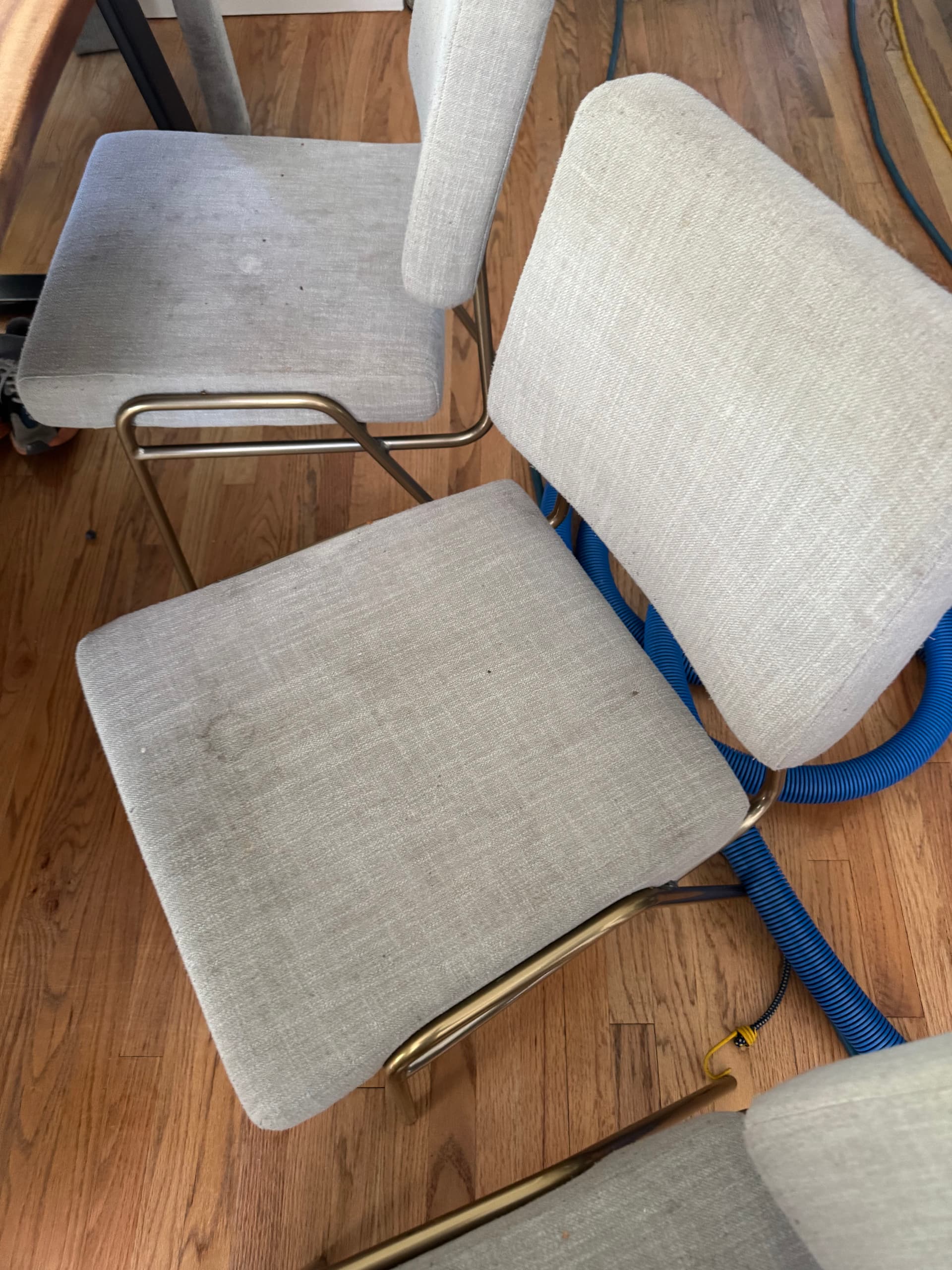 Gallery photos for Dining Chair Upholstery Cleaning in Santa Clarita: Image #2