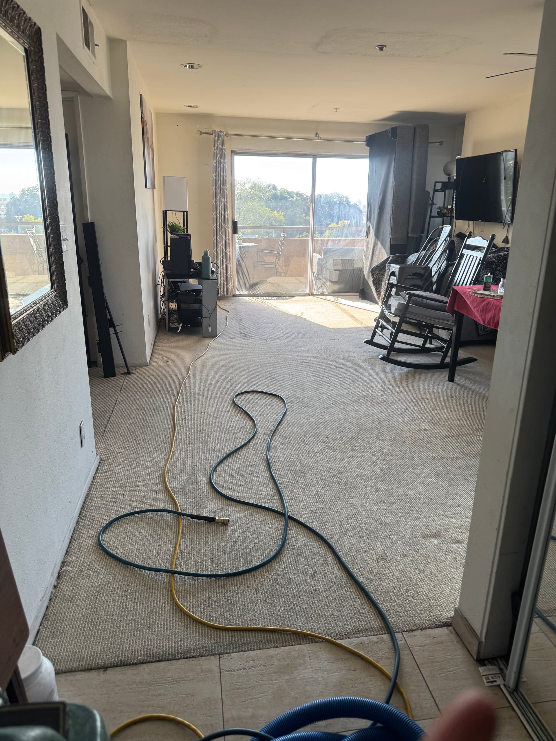 Gallery photos for Bringing Life Back to Carpets in Pasadena: Image #1