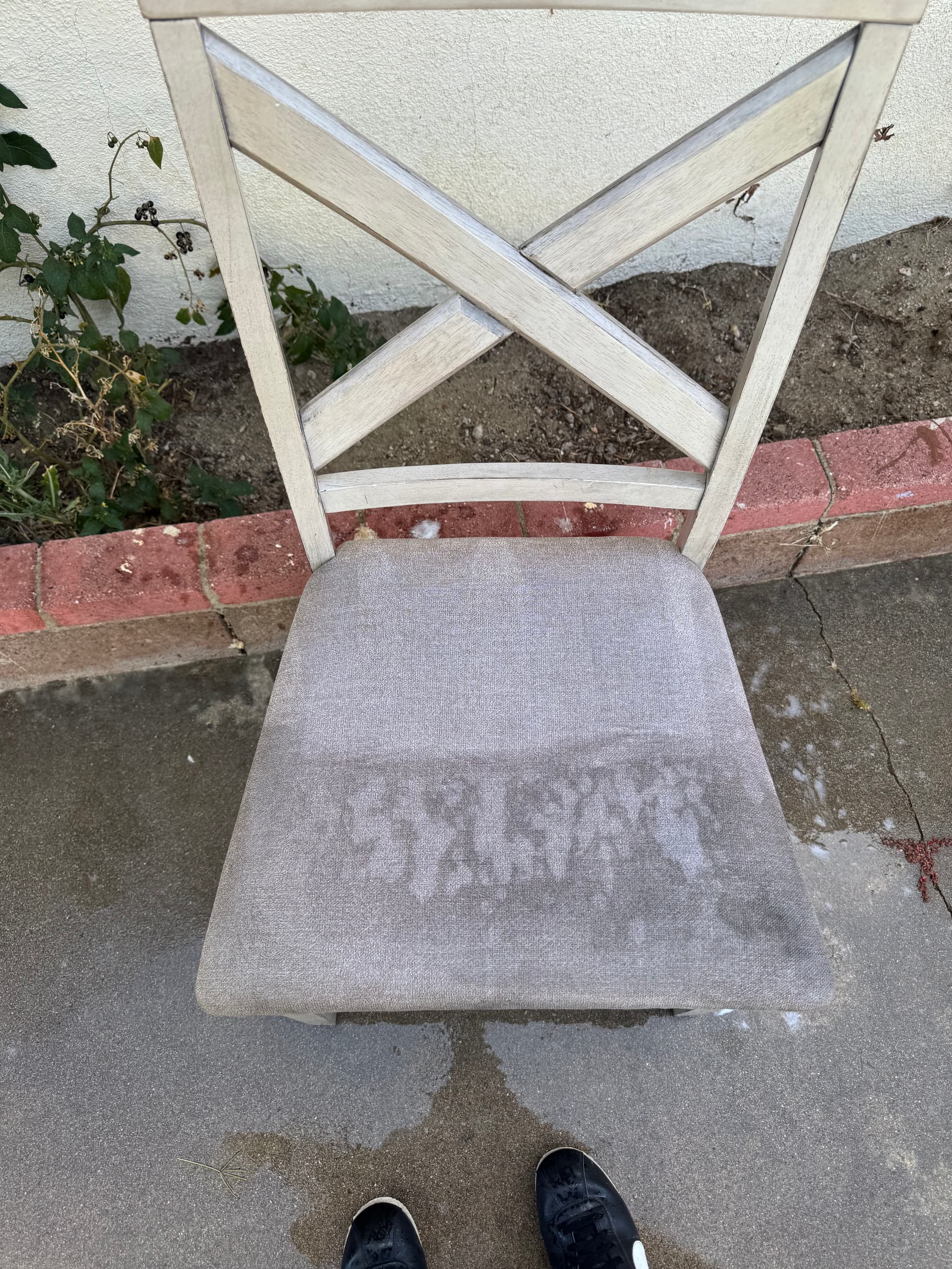 Gallery photos for Dirty Dining Chair Gets a Professional Upholstery Cleaning in Palmdale: Image #1