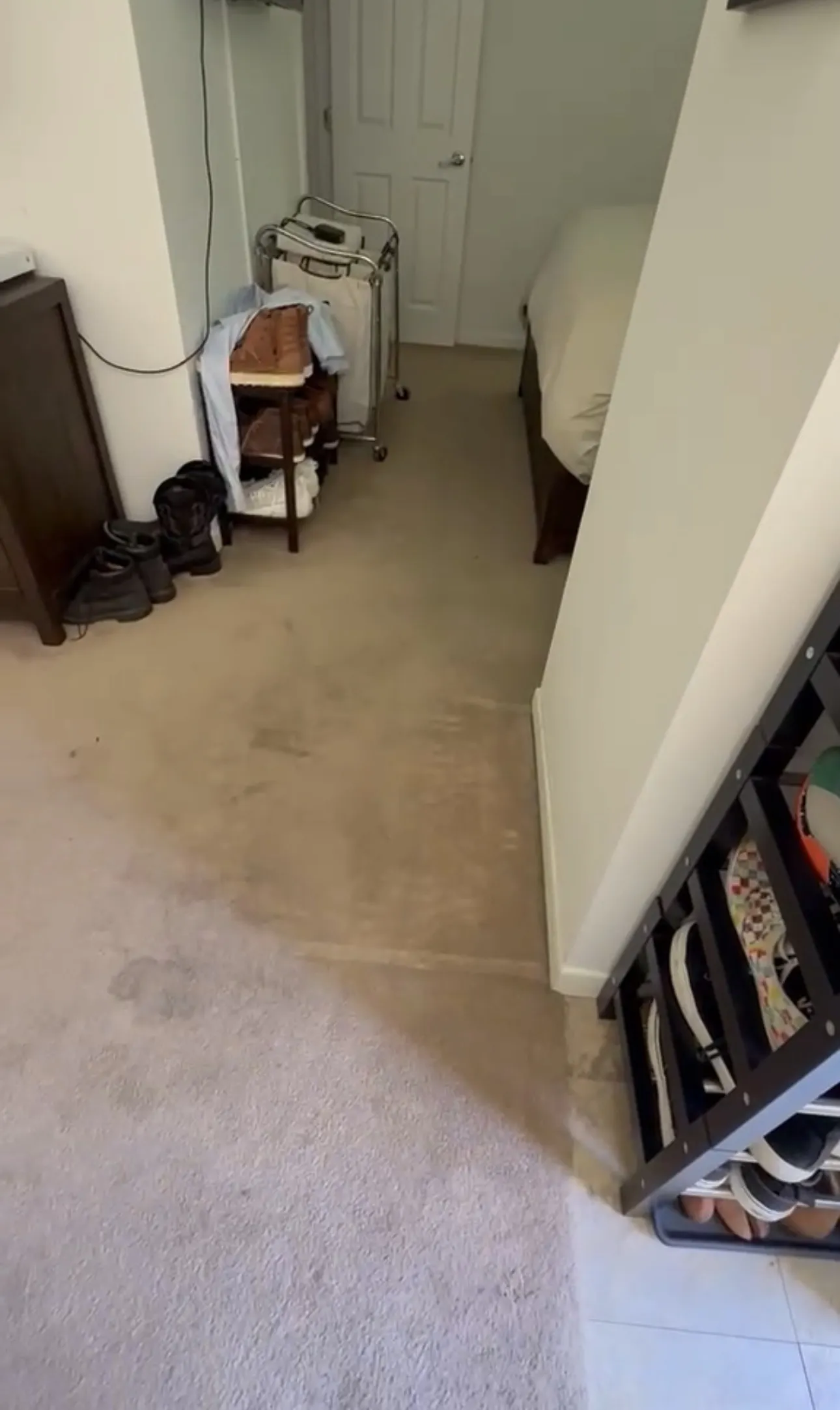 Gallery photos for Deep Carpet Cleaning That Actually Works in Van Nuys: Image #1
