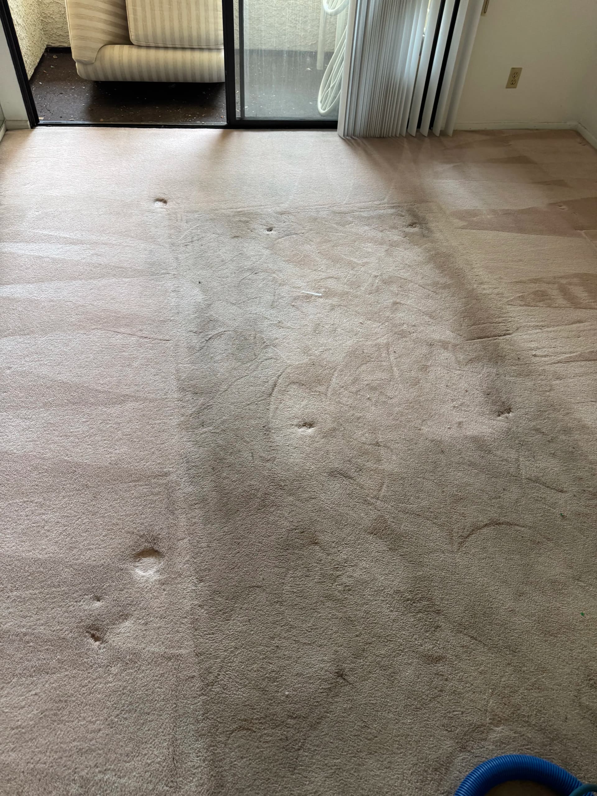 Gallery photos for Carpet Cleaning That Actually Gets the Dirt Out in Marina del Rey: Image #2