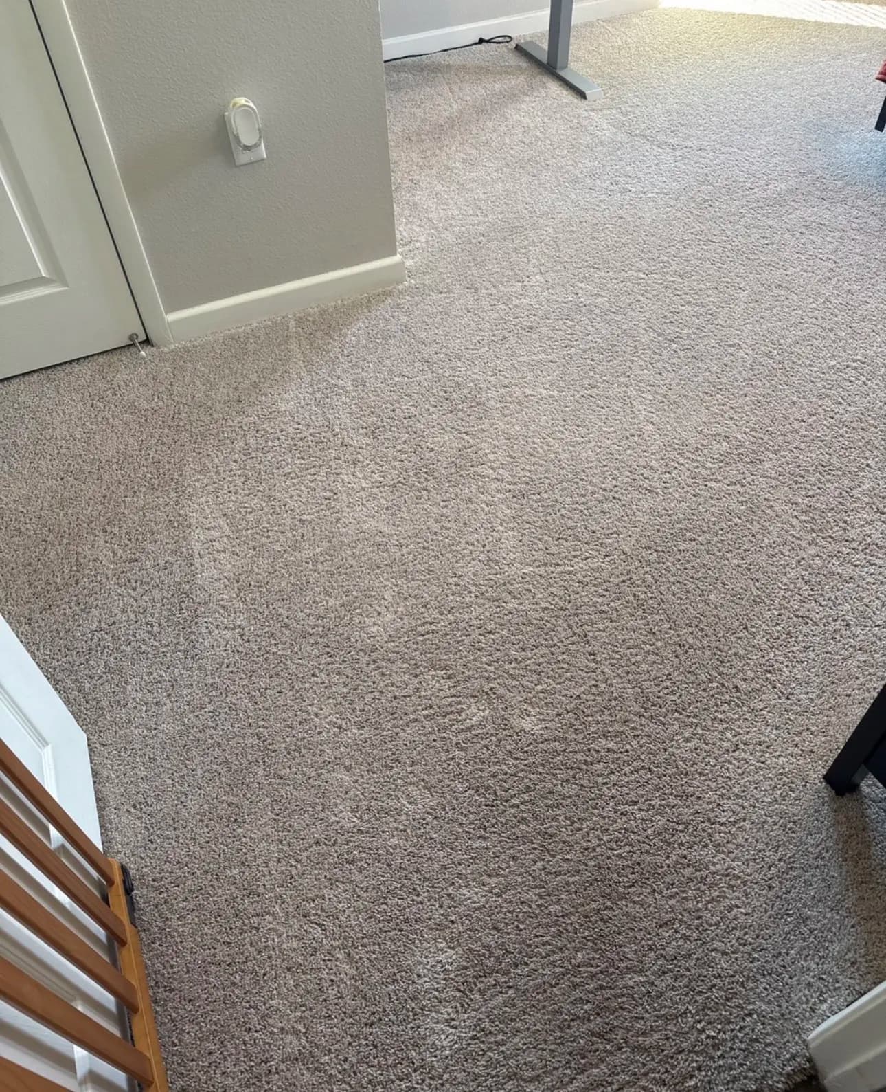 Gallery photos for Bedroom Carpet Cleaning Done Right in Oxnard: Image #2