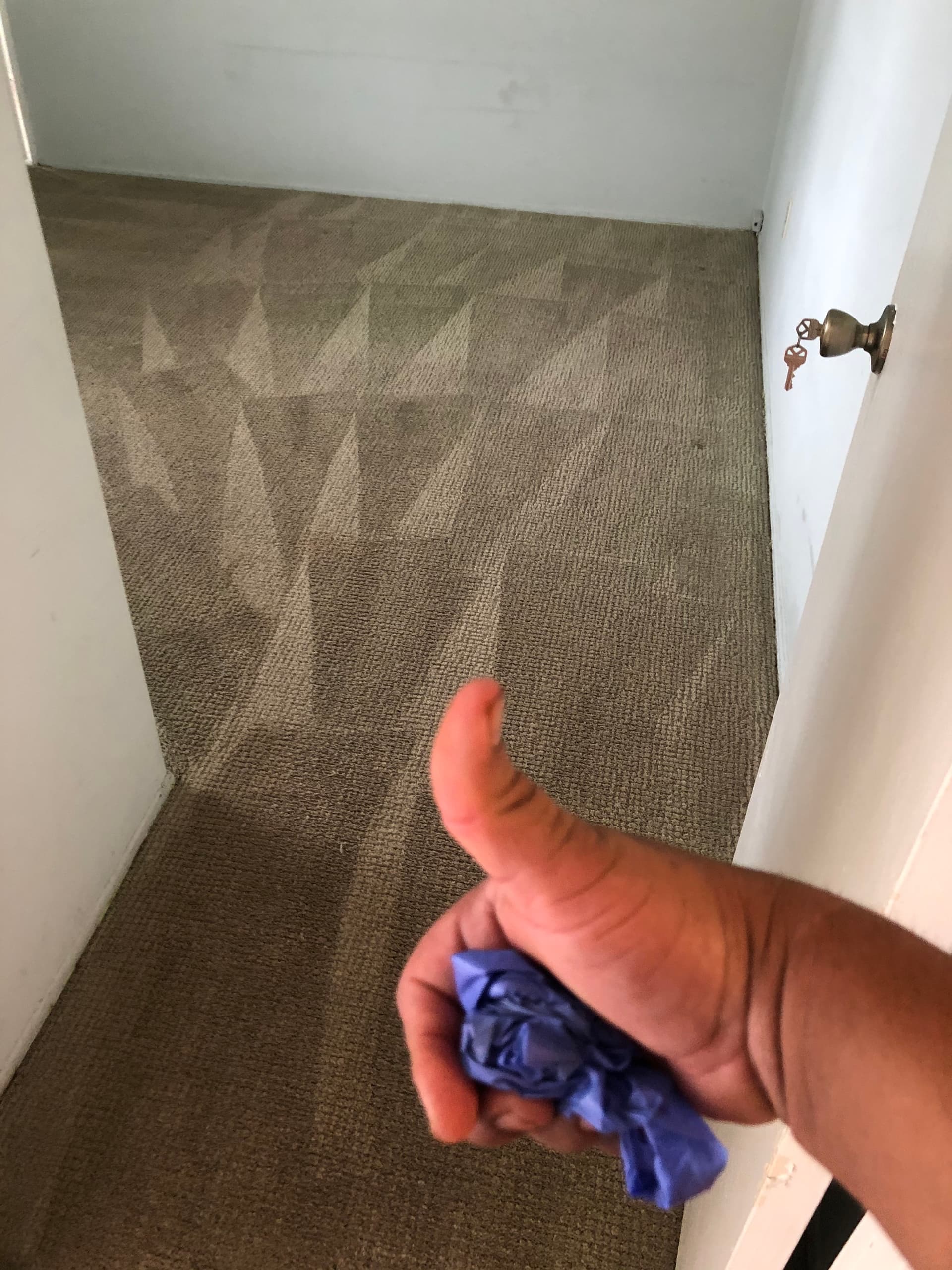 Gallery photos for A Fresh Start for Carpets in Van Nuys: Image #2