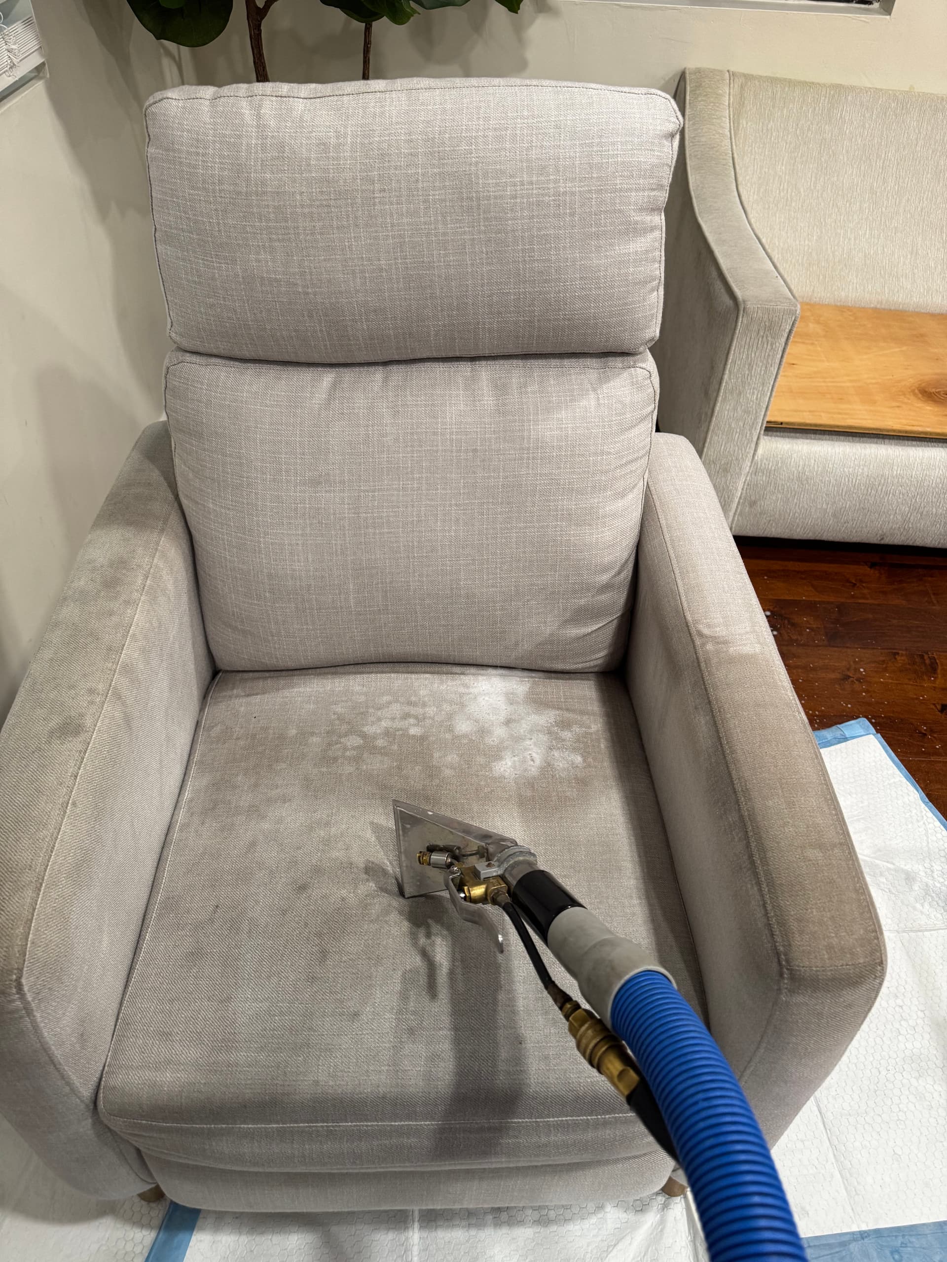 Gallery photos for Upholstery Cleaning on Fabric Chairs in Malibu: Image #3