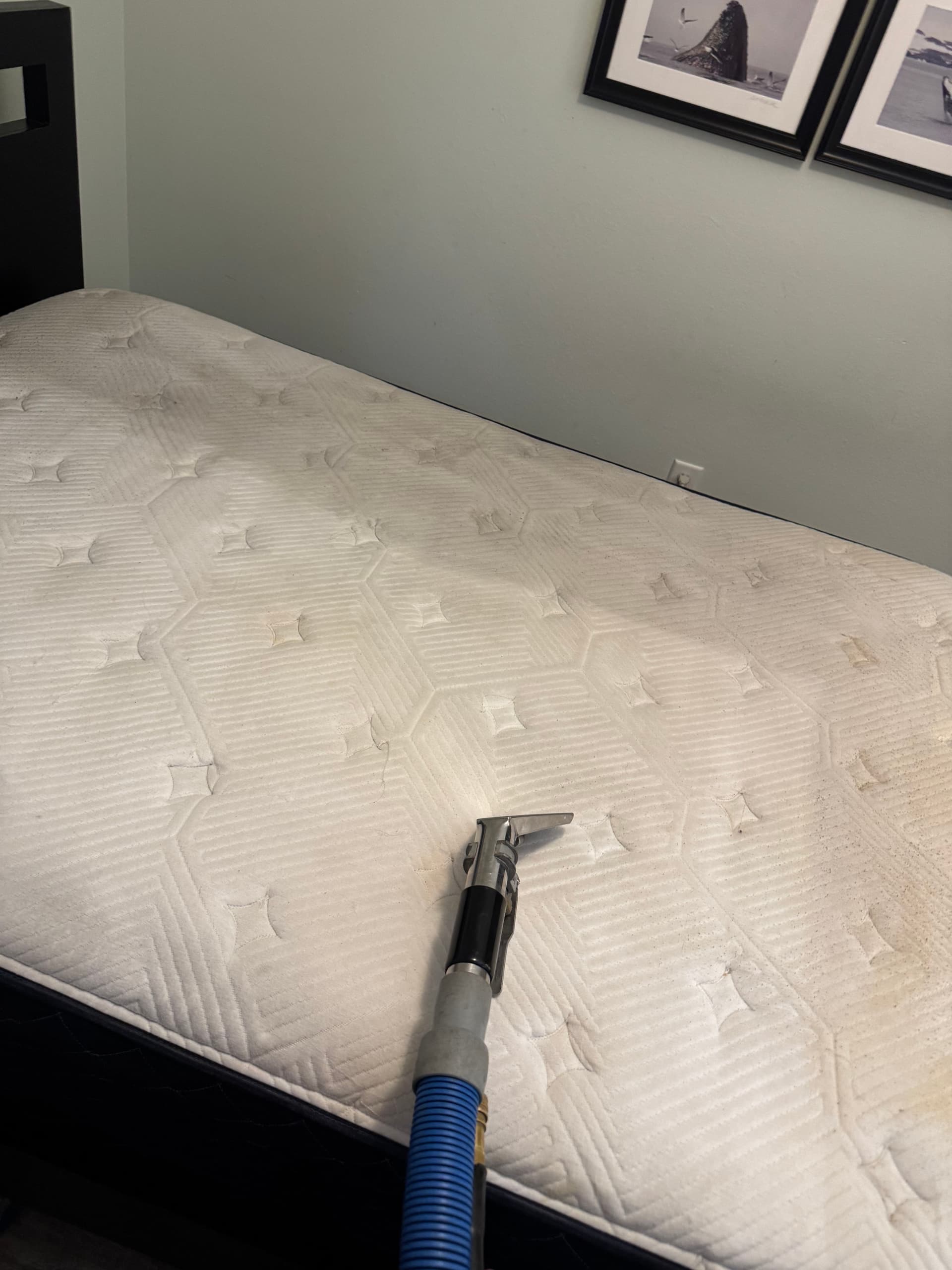 Gallery photos for Mattress Cleaning Done Right in Marina del Rey: Image #3