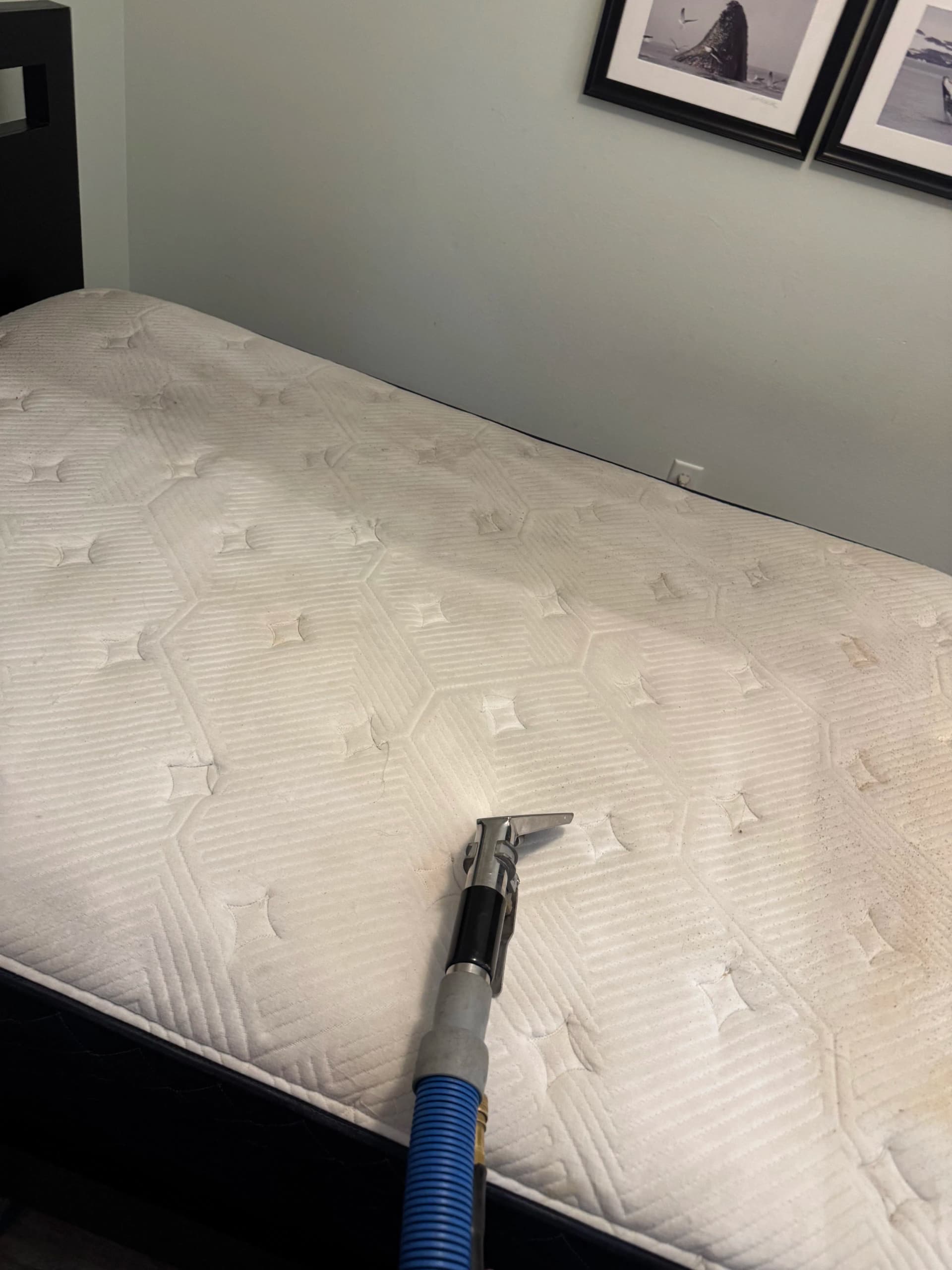 Gallery photos for Mattress Cleaning Done Right in Pasadena: Image #1