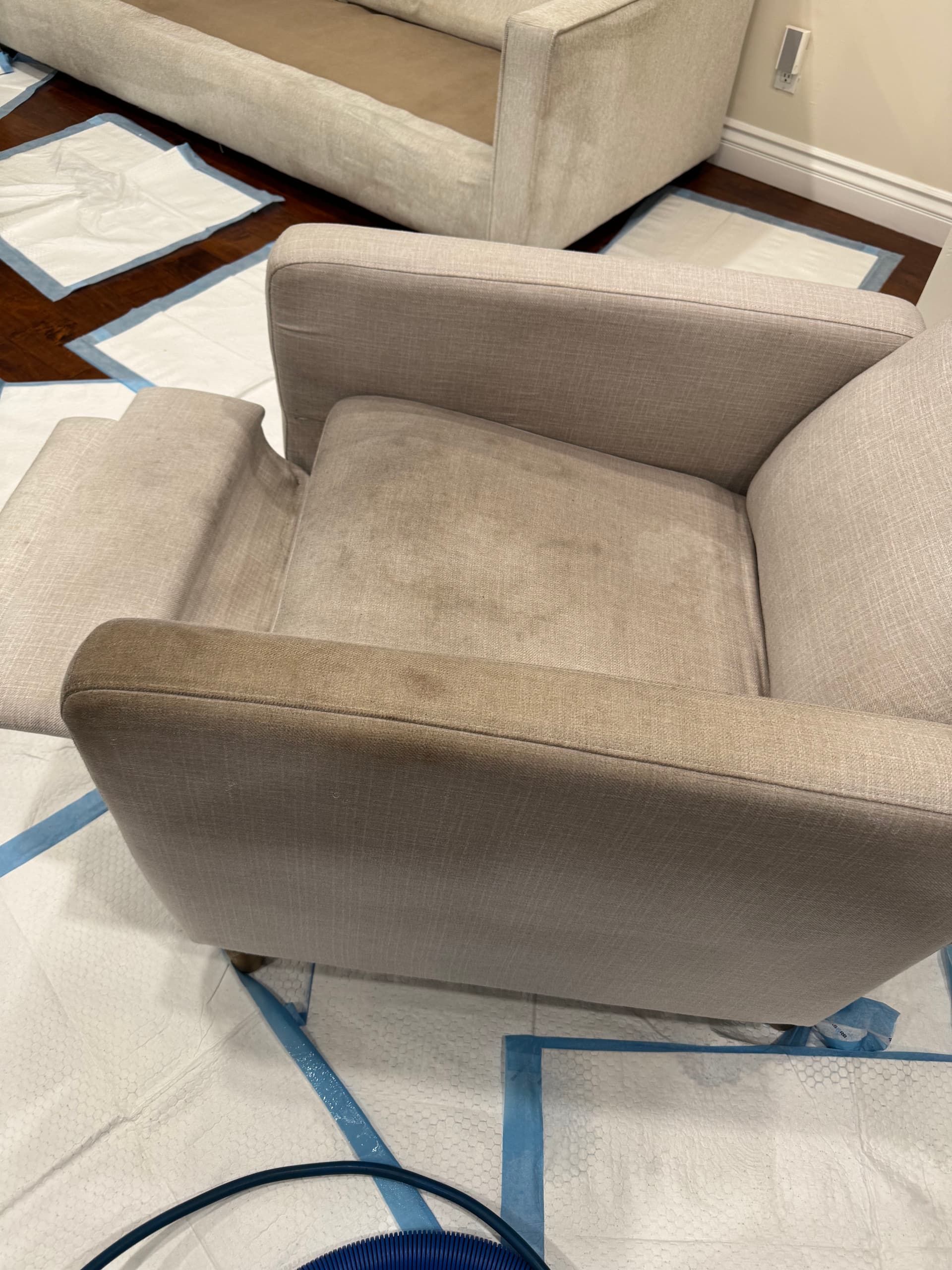 Gallery photos for Upholstery Cleaning Success in North Hollywood: Image #3