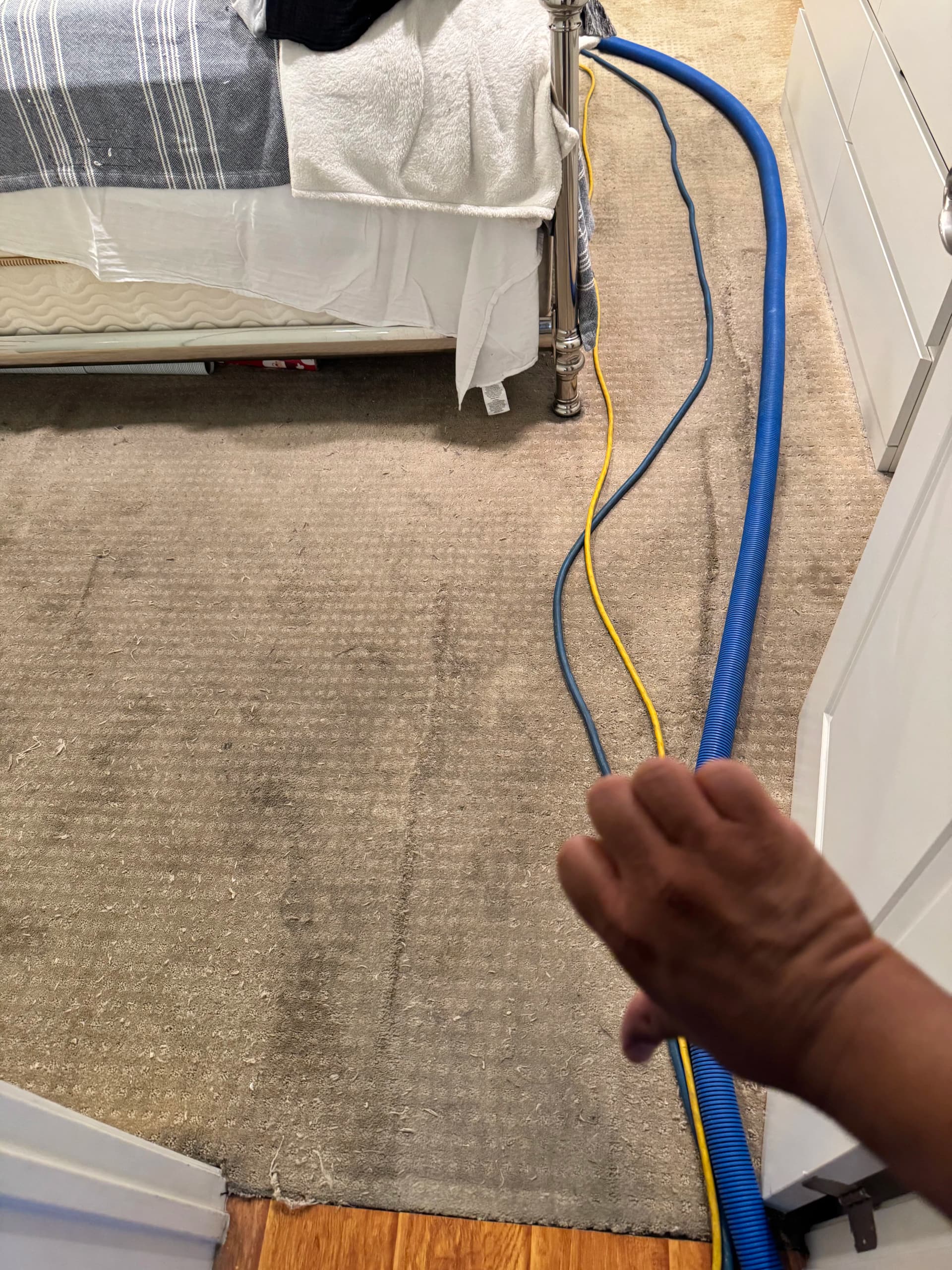 Bedroom Carpet Cleaning in Canoga Park That Actually Works image