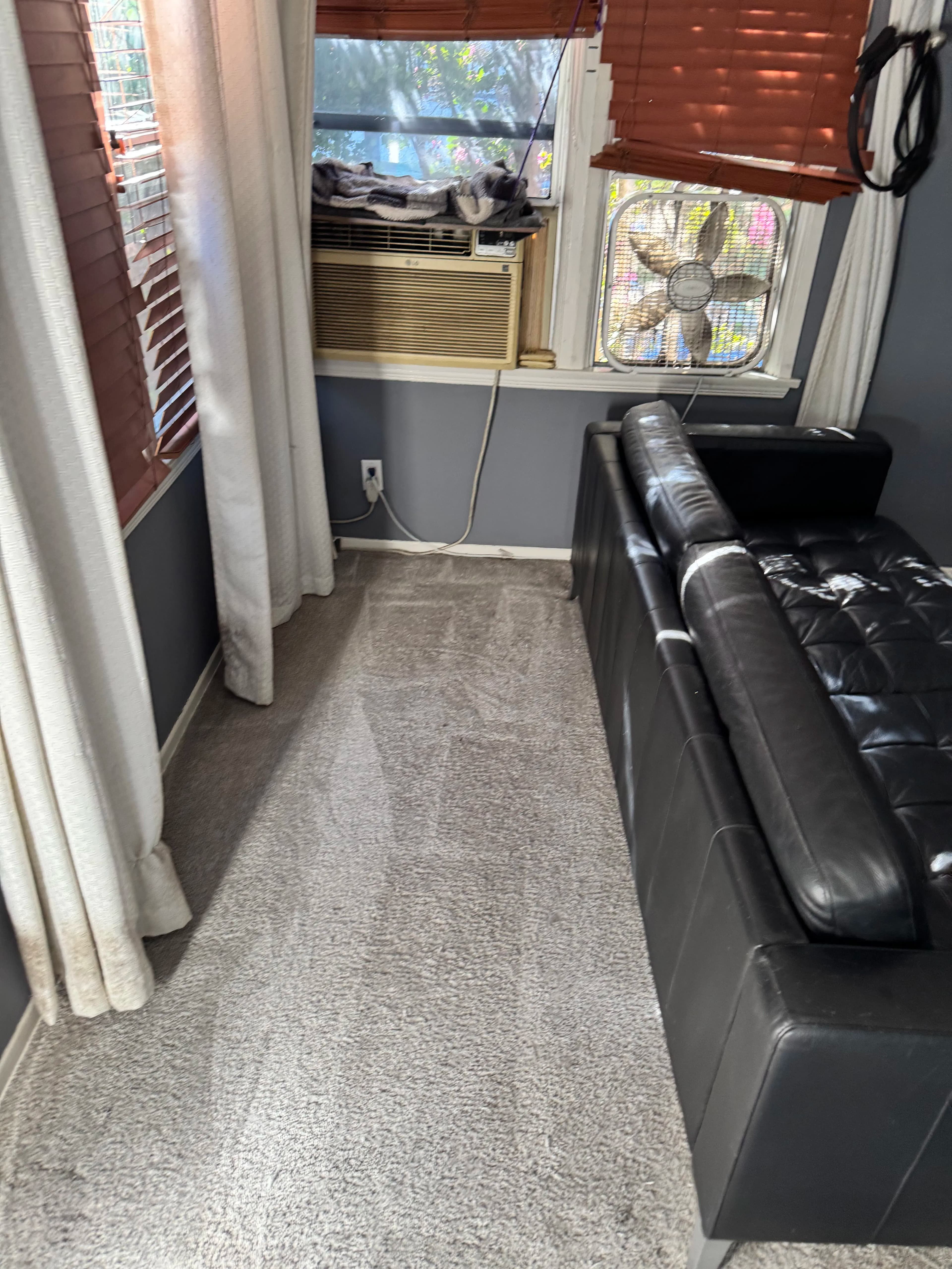 Project North Hollywood Carpet Cleaning That Actually Gets the Dirt Out image