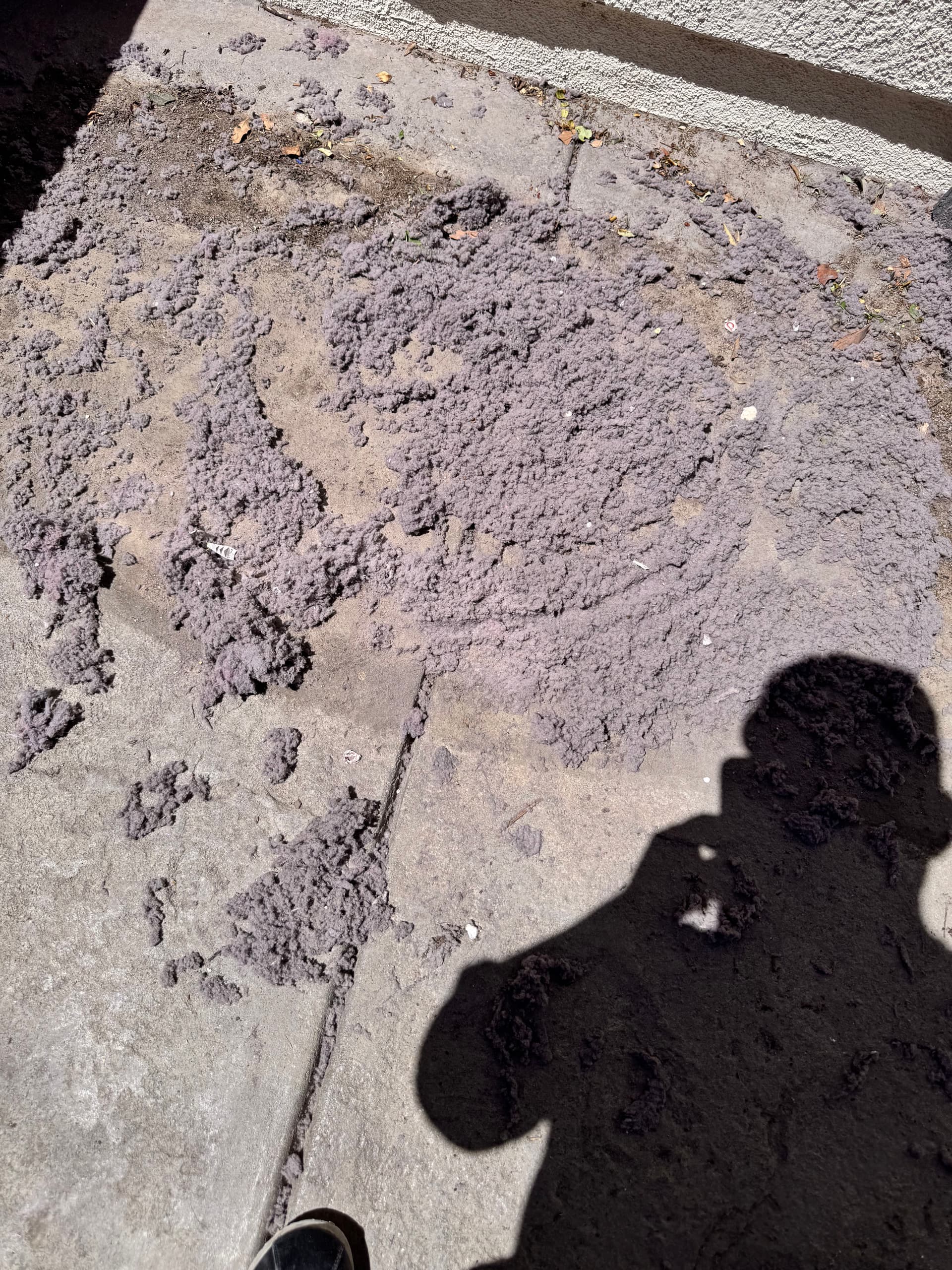 Gallery photos for Dryer Vent Cleaning in Santa Clarita - Here's What We Pulled Out: Image #2