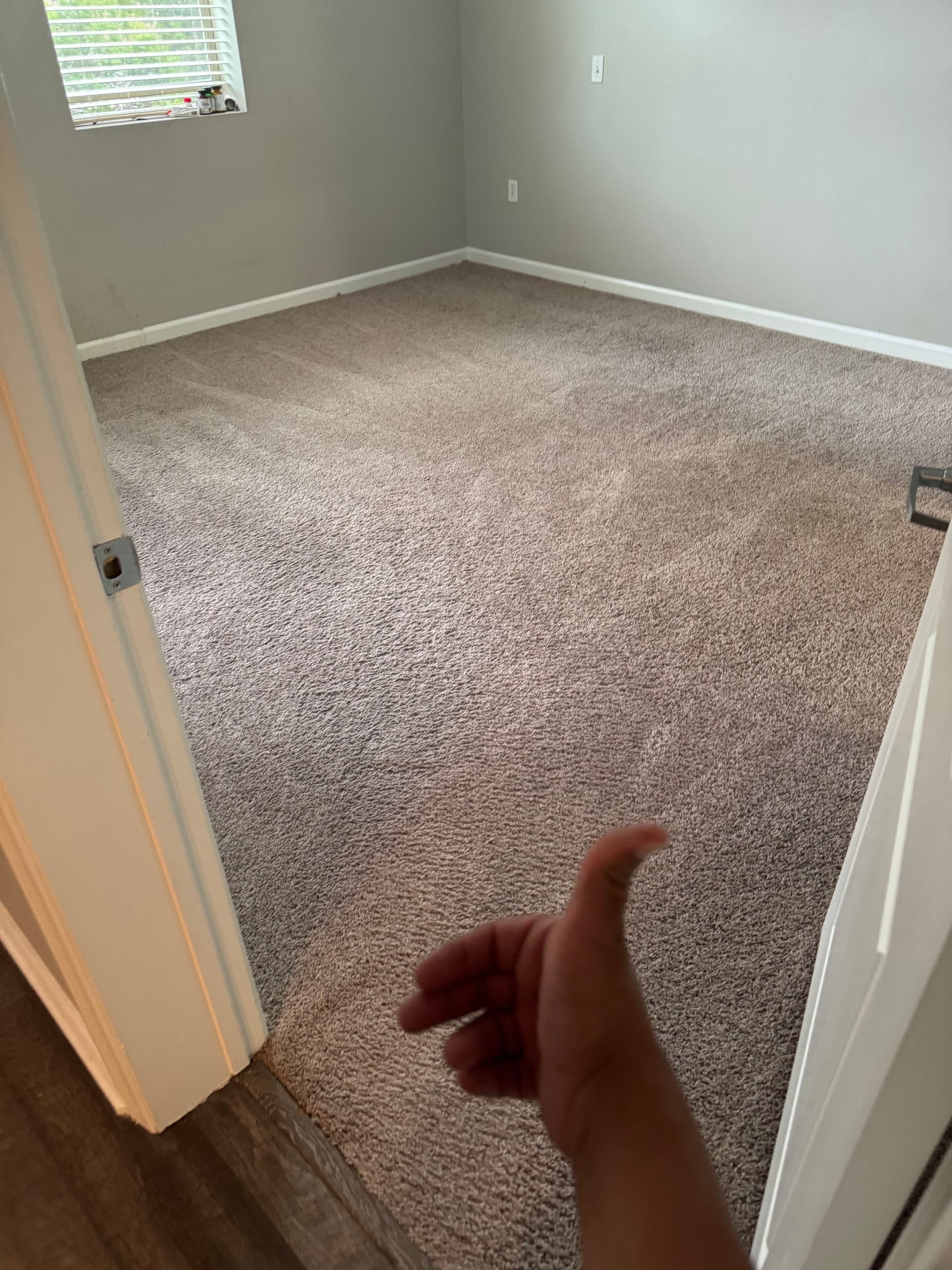 Gallery photos for Carpet Cleaning Done Right in Culver City: Image #1