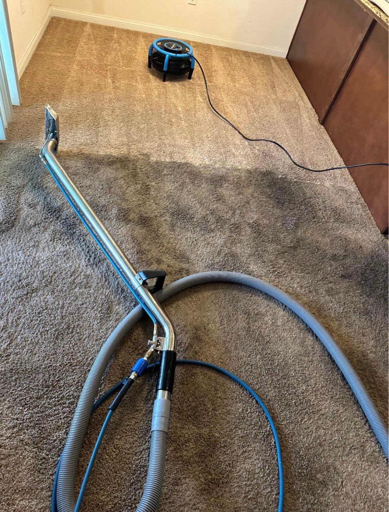 Project Spotless Carpet Solutions in Santa Monica image