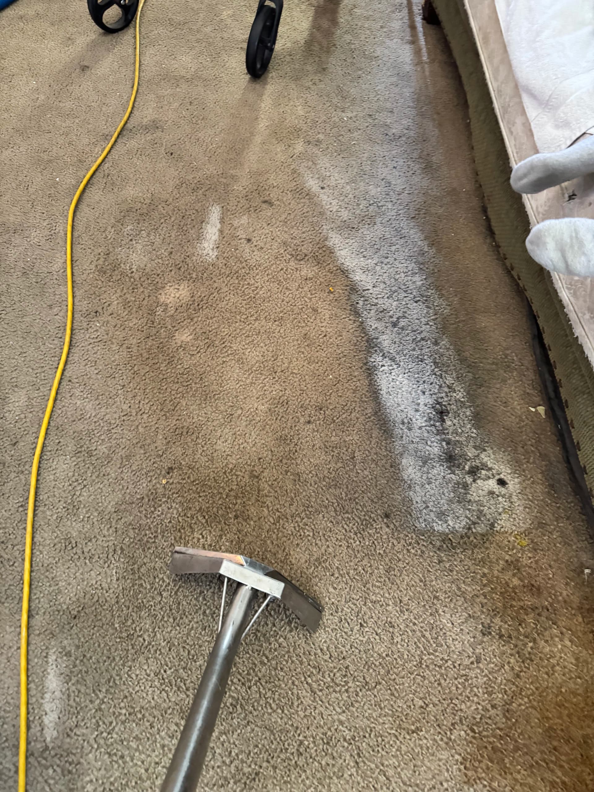 Gallery photos for Deep Carpet Cleaning Pulls Years of Dirt in Canoga Park: Image #1