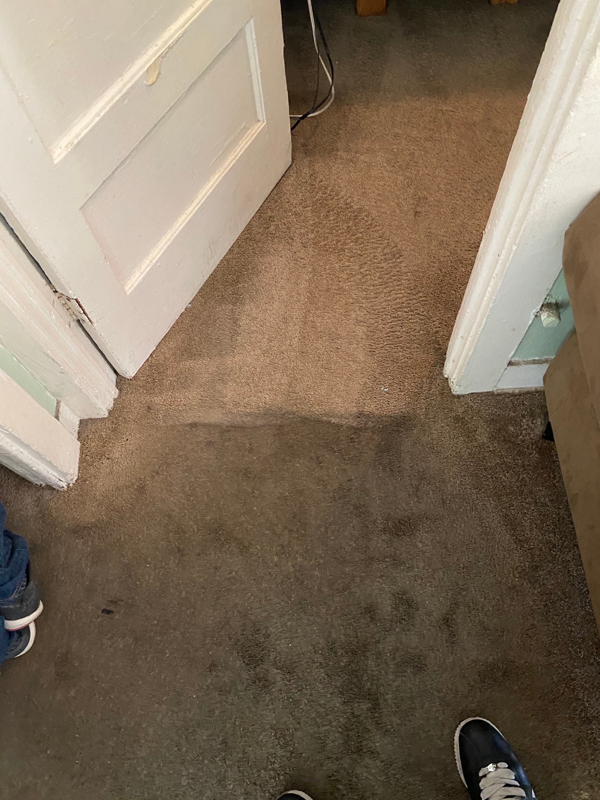 Carpet Refresh for High-Traffic Areas in Beverly Hills image