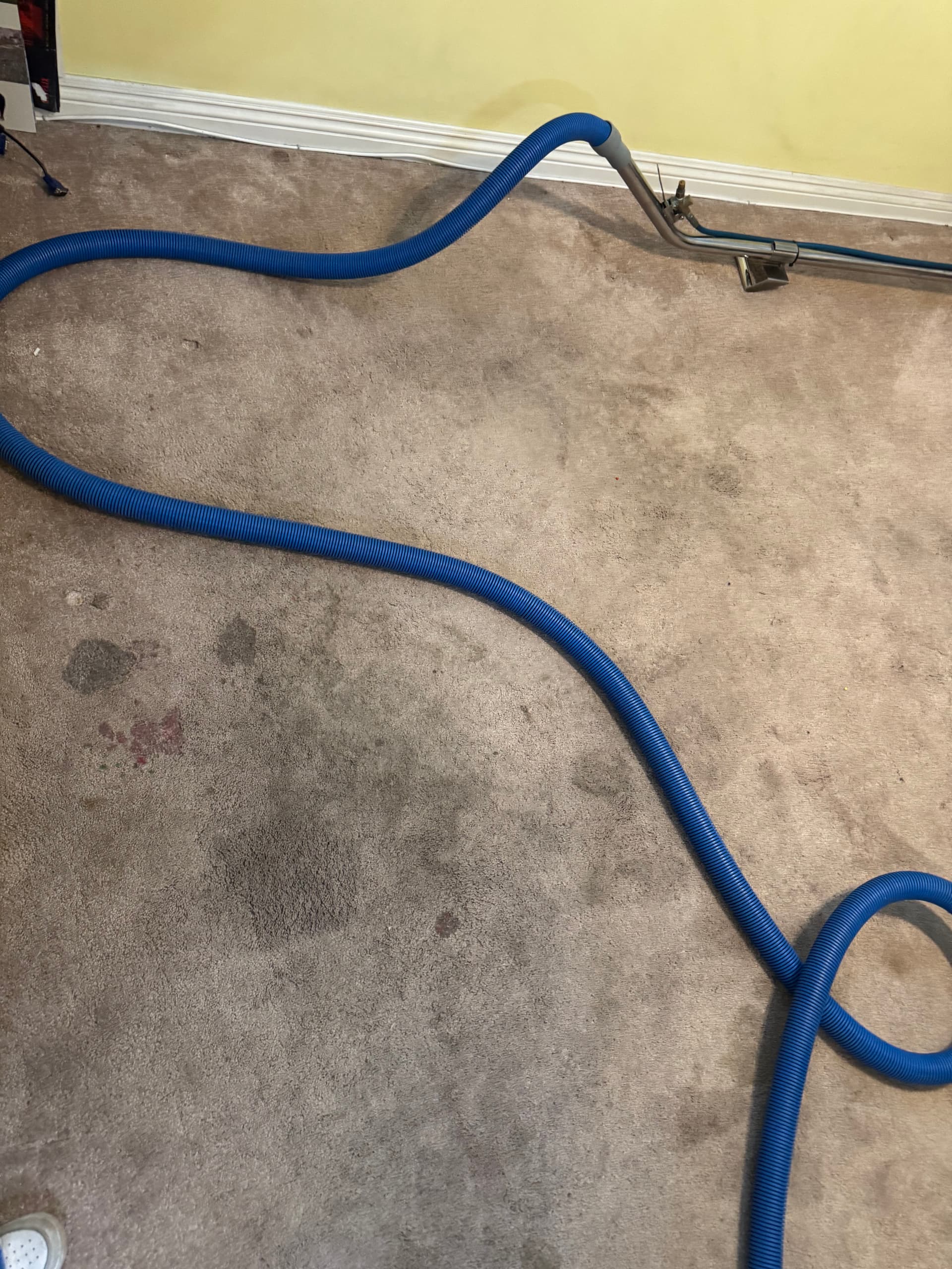 Gallery photos for Sun Valley Carpet Cleaning That Pulls Out the Tough Stuff: Image #1