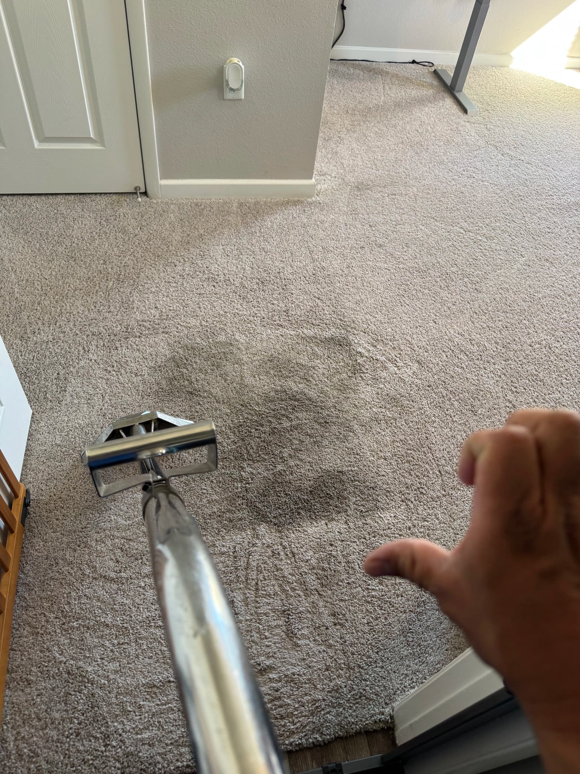 Gallery photos for Bedroom Carpet Cleaning Done Right in Oxnard: Image #1