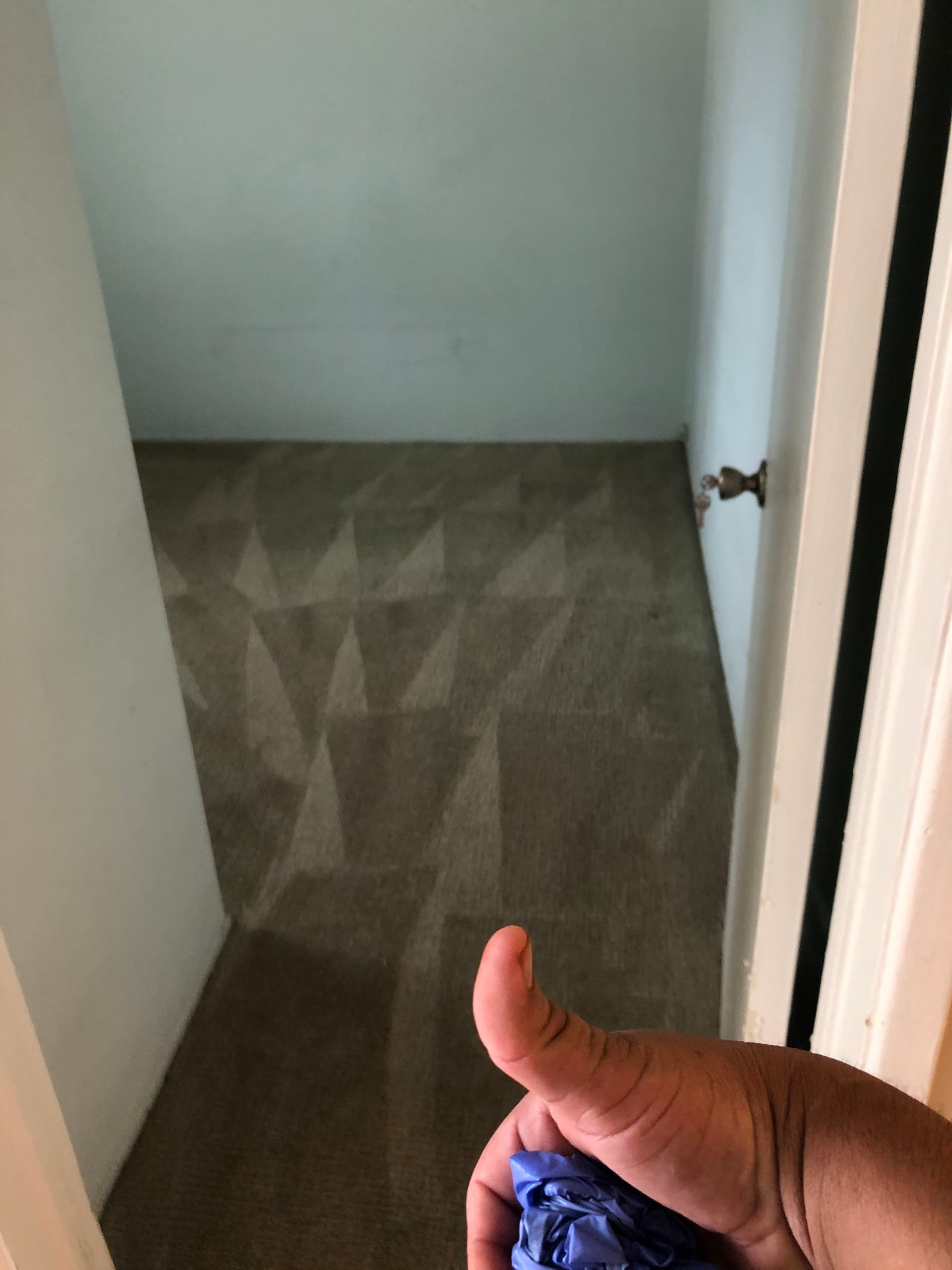 Gallery photos for A Fresh Start for Carpets in Van Nuys: Image #1