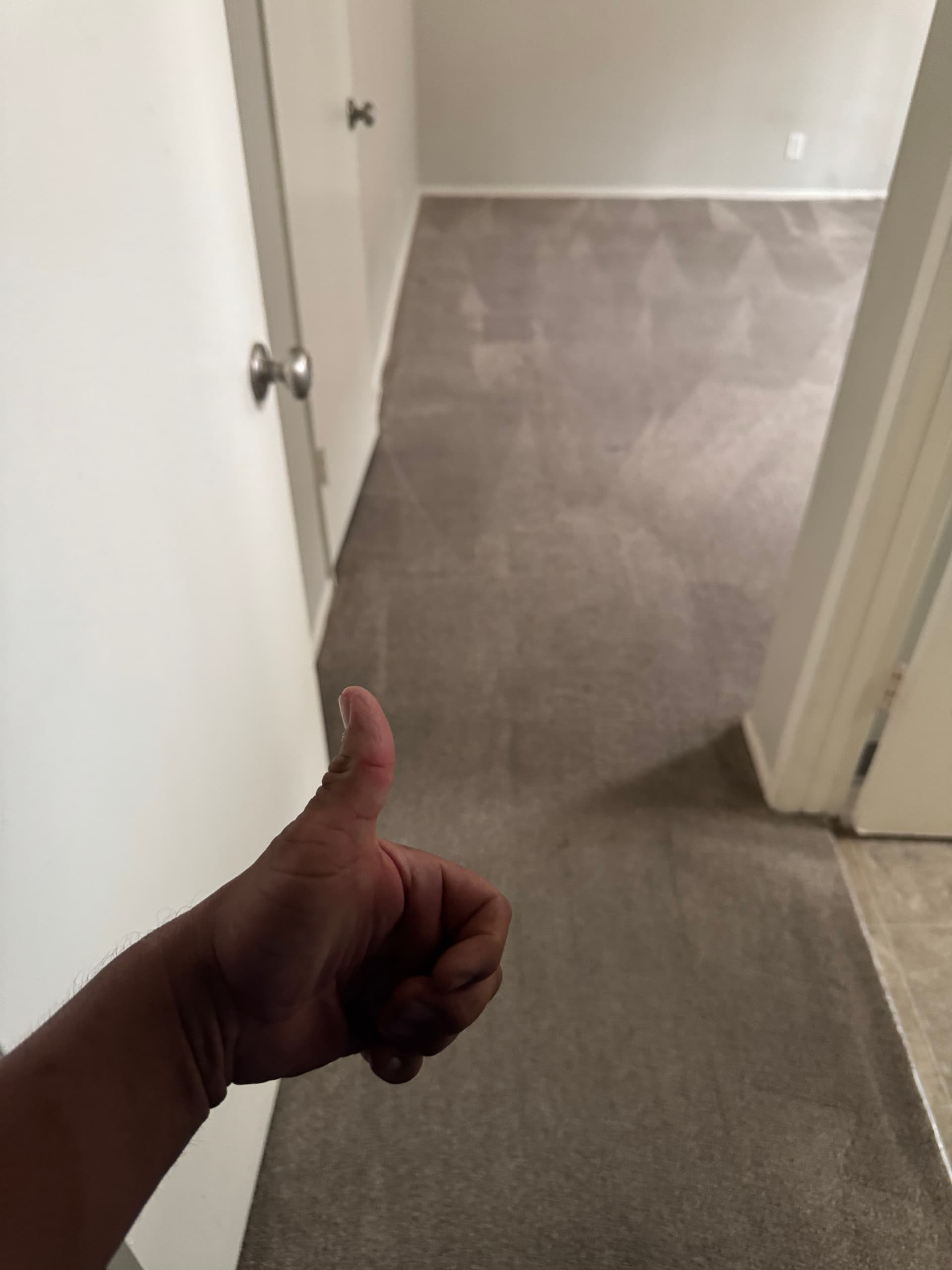 Gallery photos for Carpet Cleaning Success in Van Nuys: Image #2