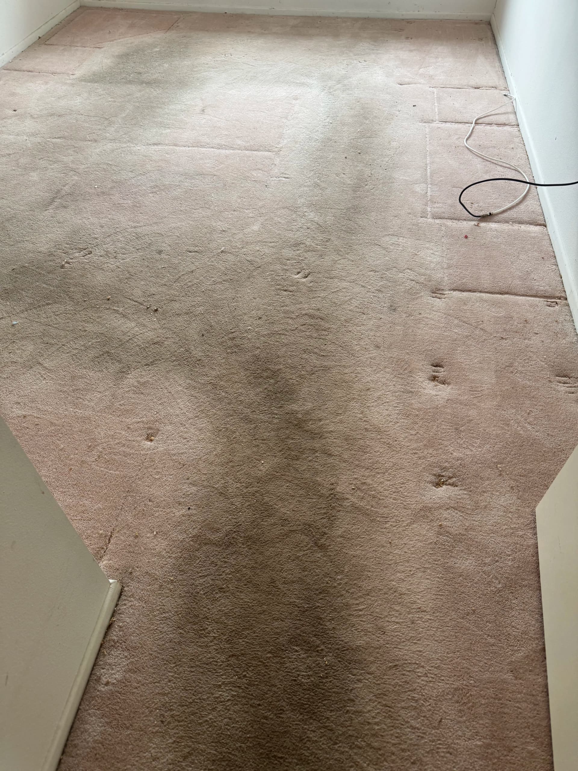 Carpet Cleaning That Actually Gets the Dirt Out in Marina del Rey image