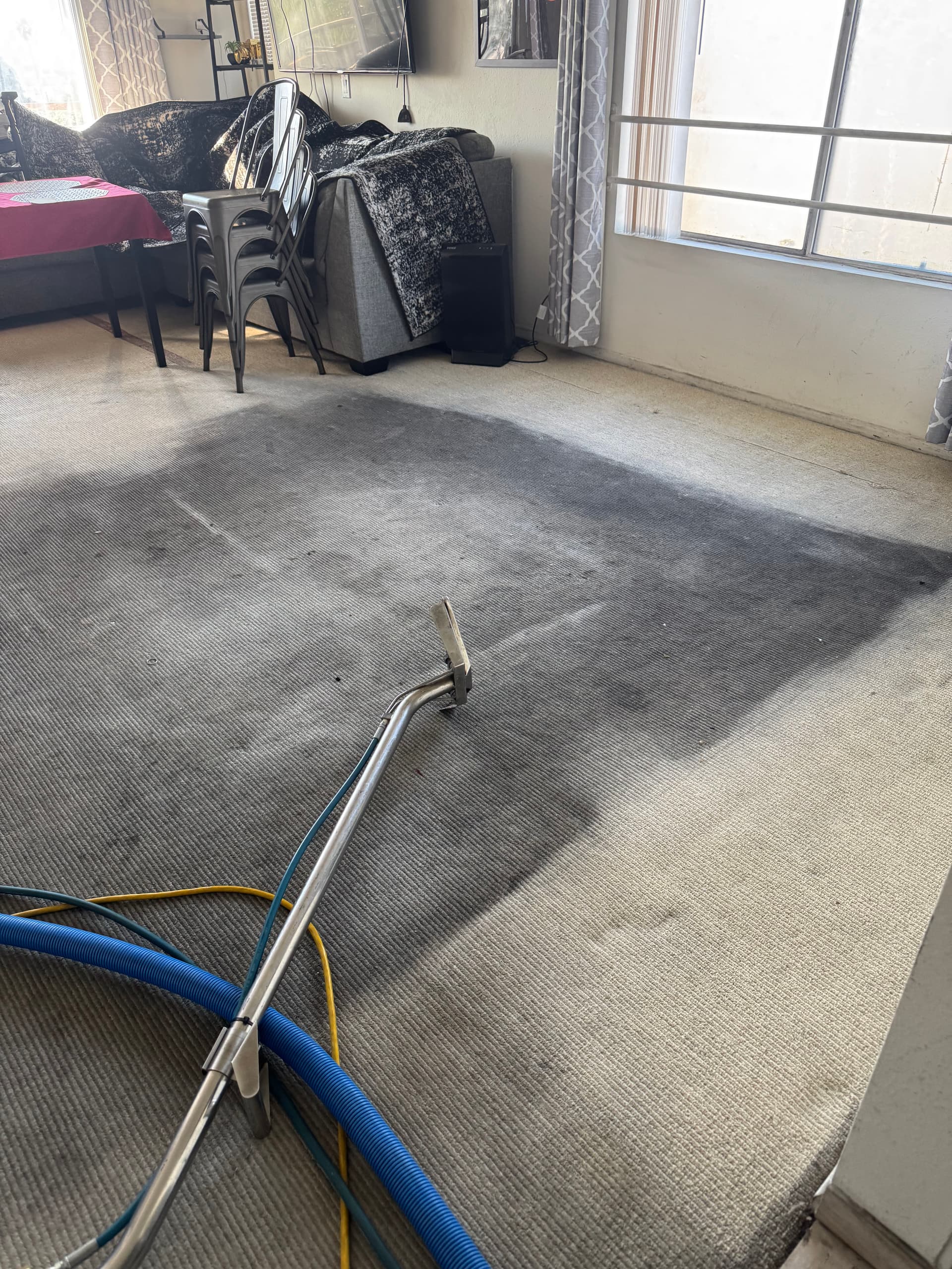 Gallery photos for Bringing Life Back to Carpets in Pasadena: Image #2