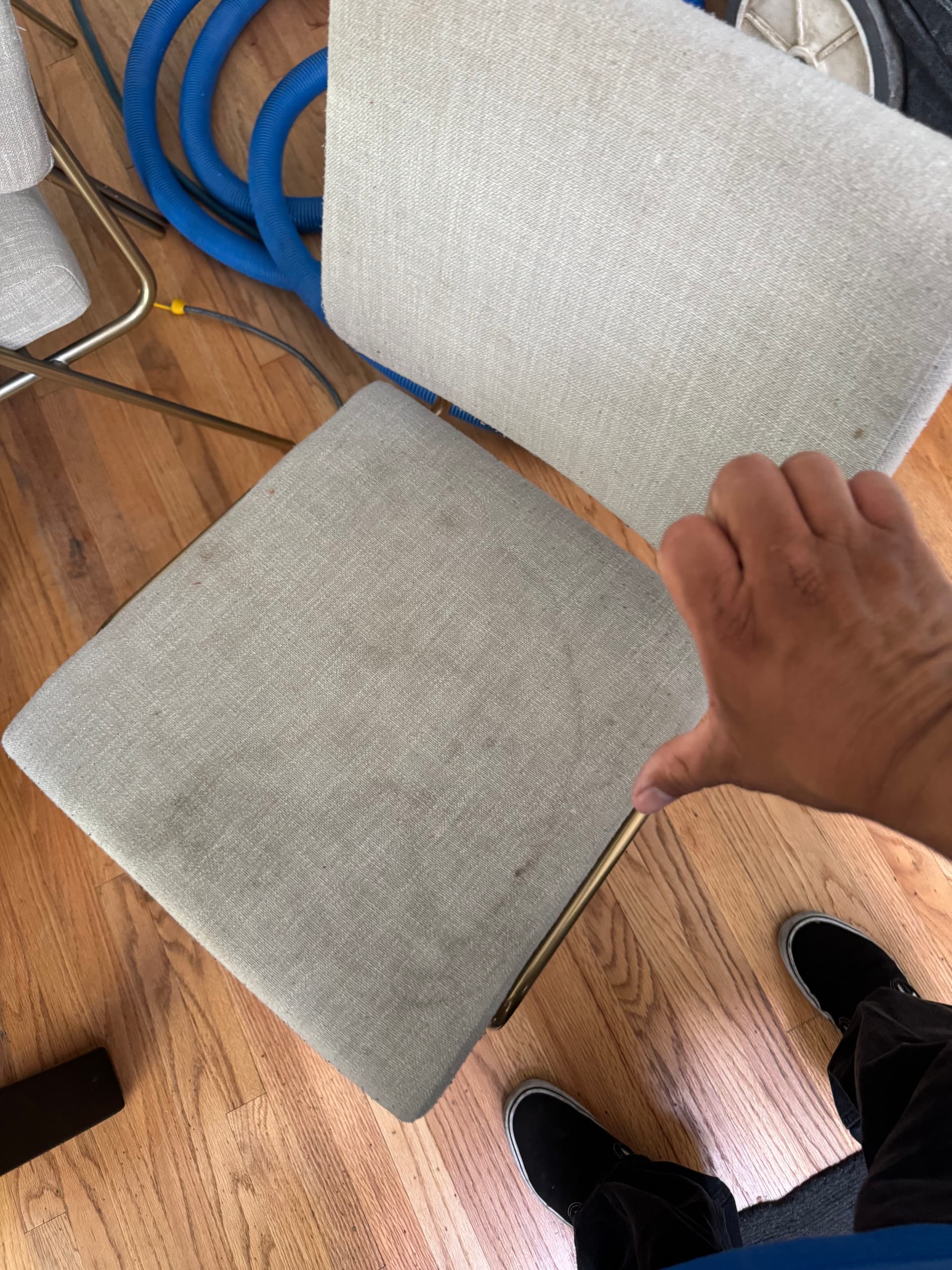 Gallery photos for Dining Chair Upholstery Cleaning in Santa Clarita: Image #1