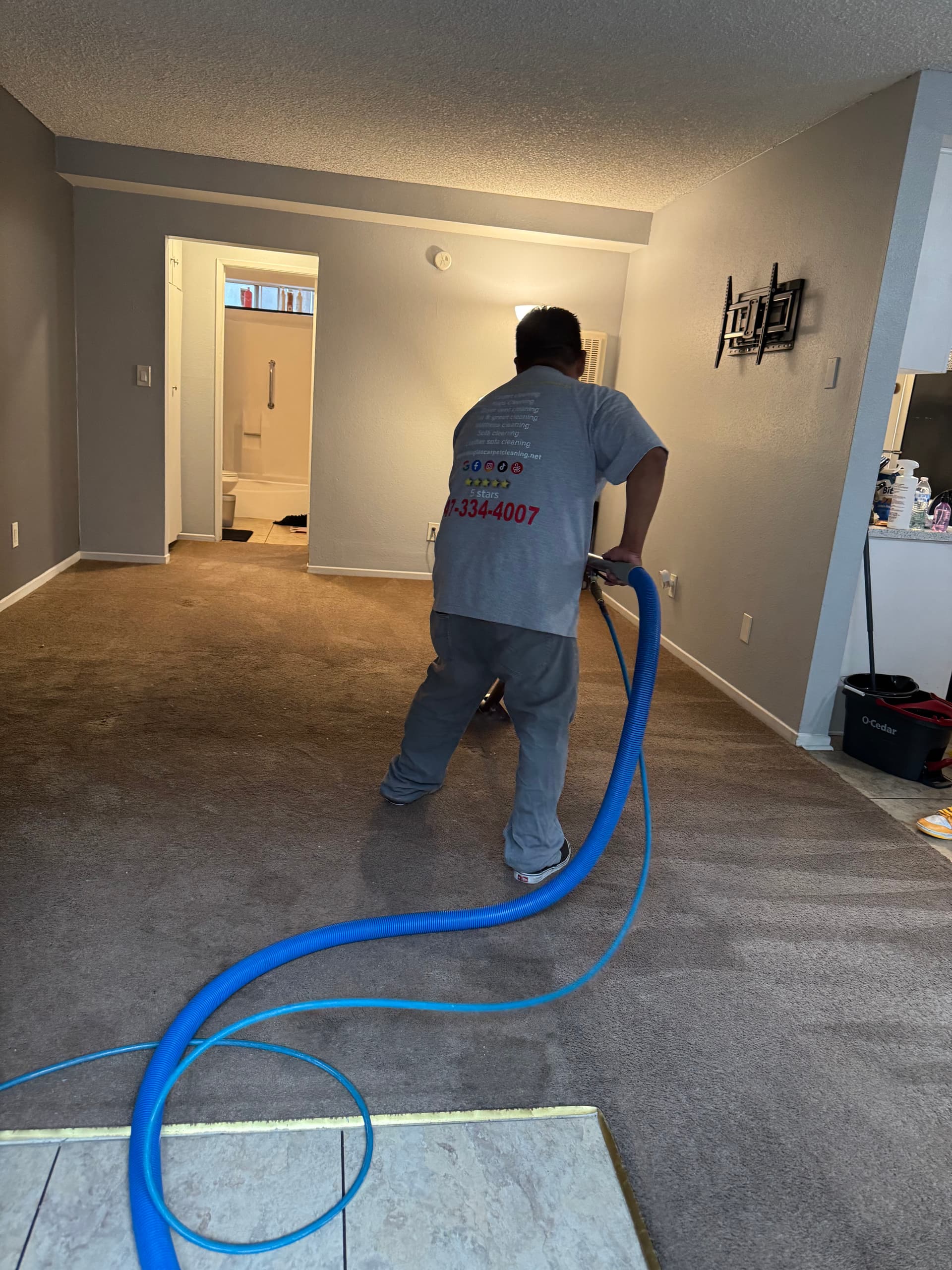 Gallery photos for Carpet Cleaning Success in Van Nuys: Image #1