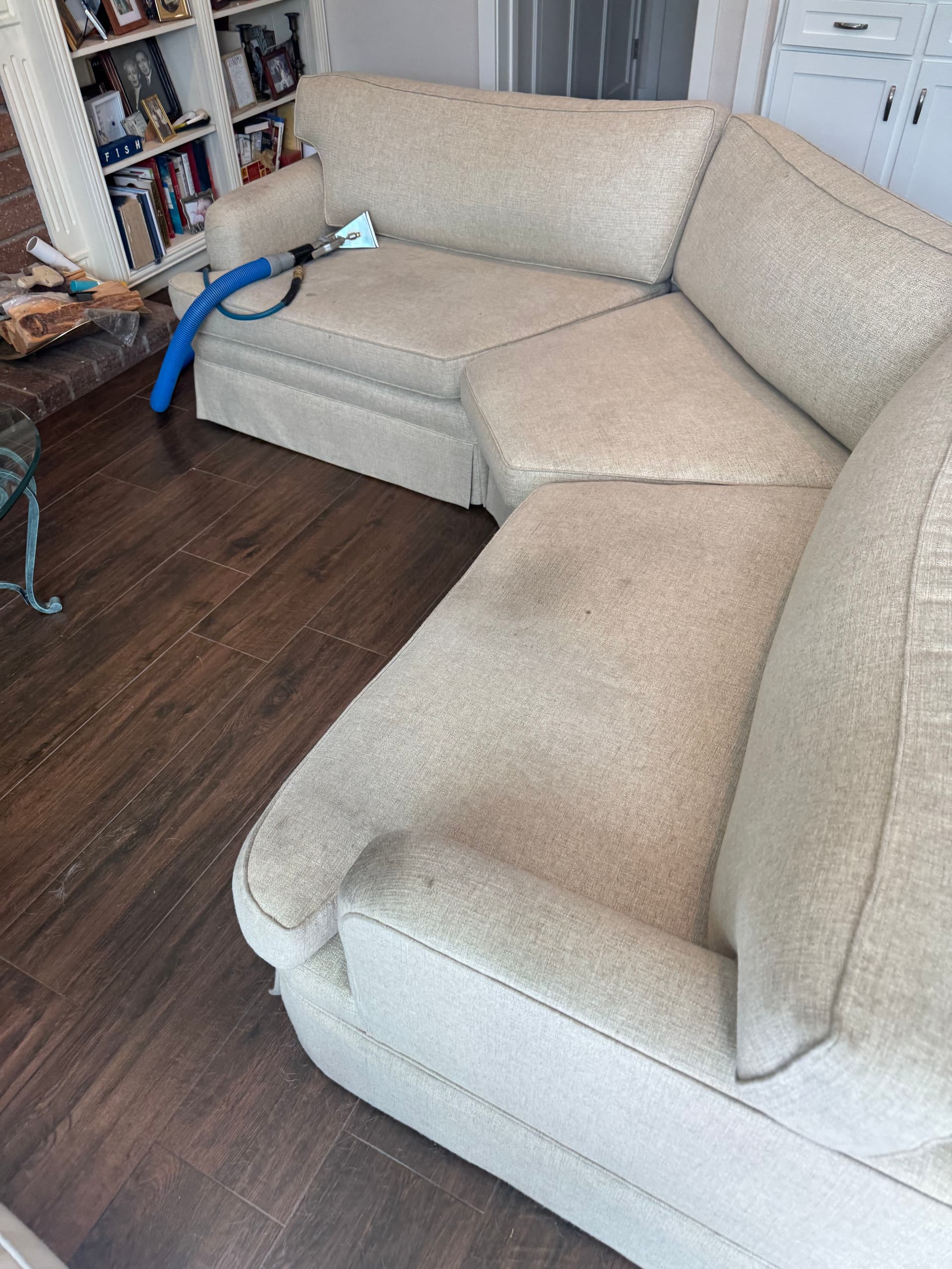 Gallery photos for Sofa Cleaning in Santa Monica Done Right: Image #3