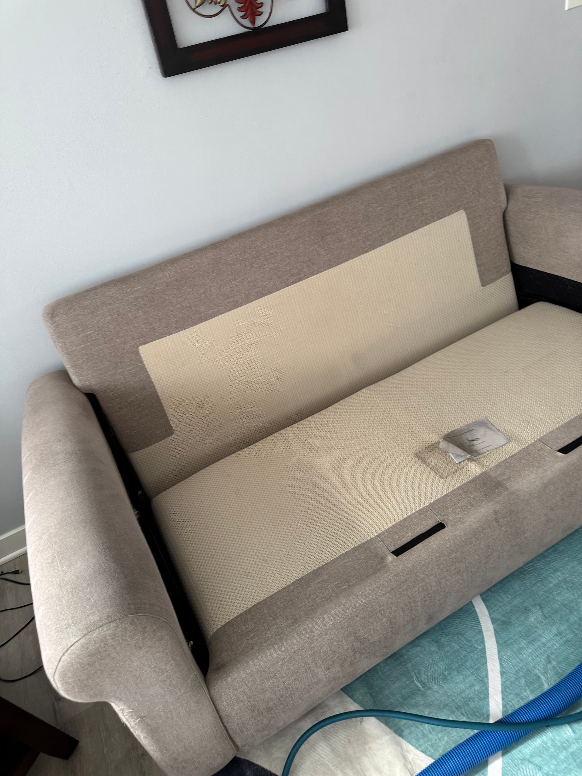 Sofa and Rug Cleaning Done Right in Inglewood image