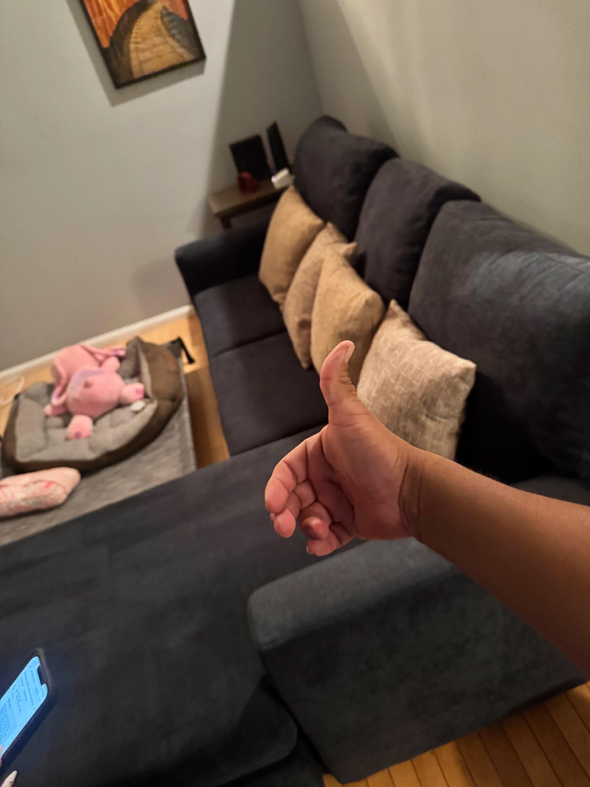 Gallery photos for Sherman Oaks Sofa Cleaning That Actually Made a Difference: Image #4