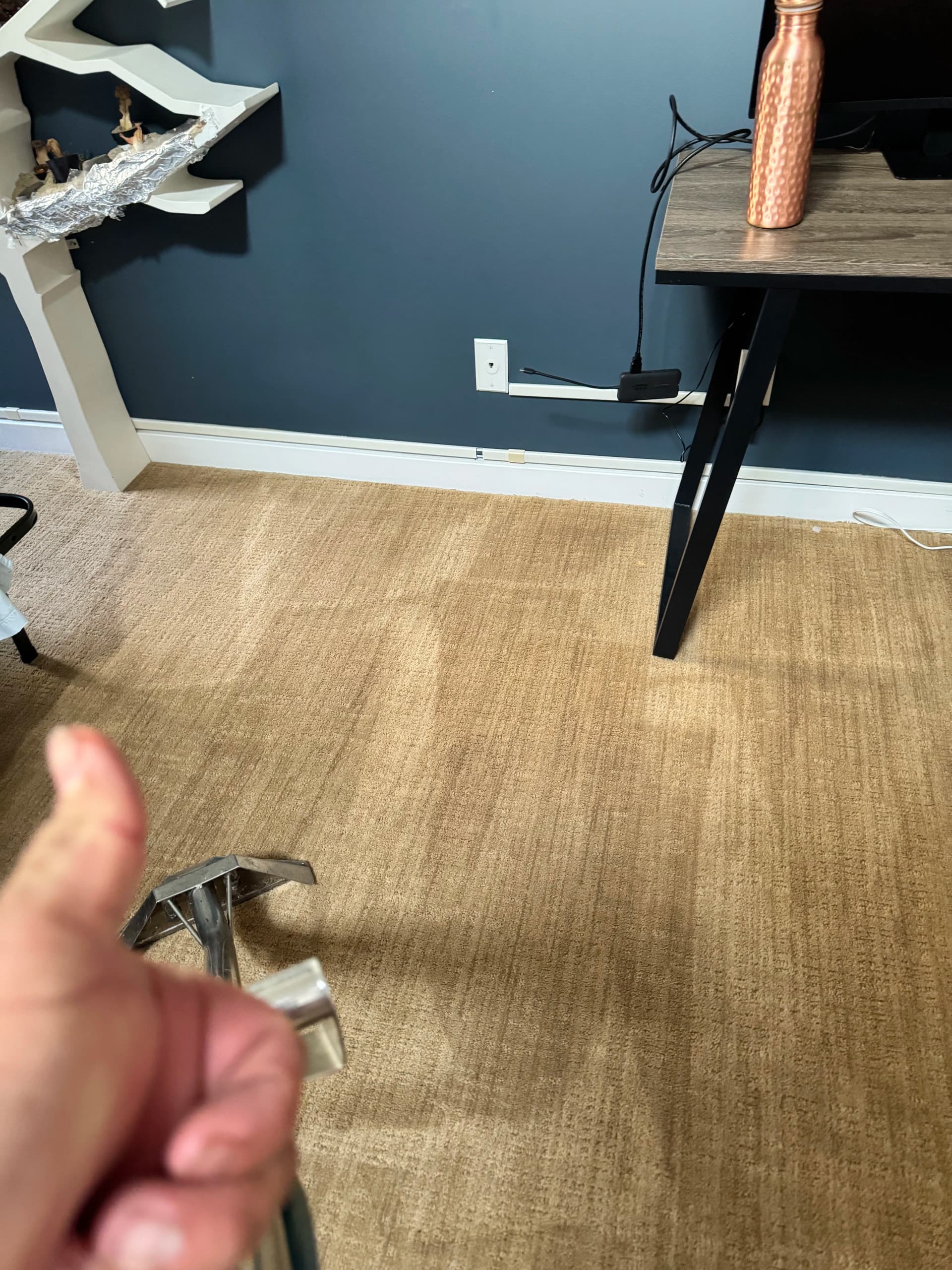 Gallery photos for Carpet and Upholstery Cleaning Done Right in Thousand Oaks: Image #3