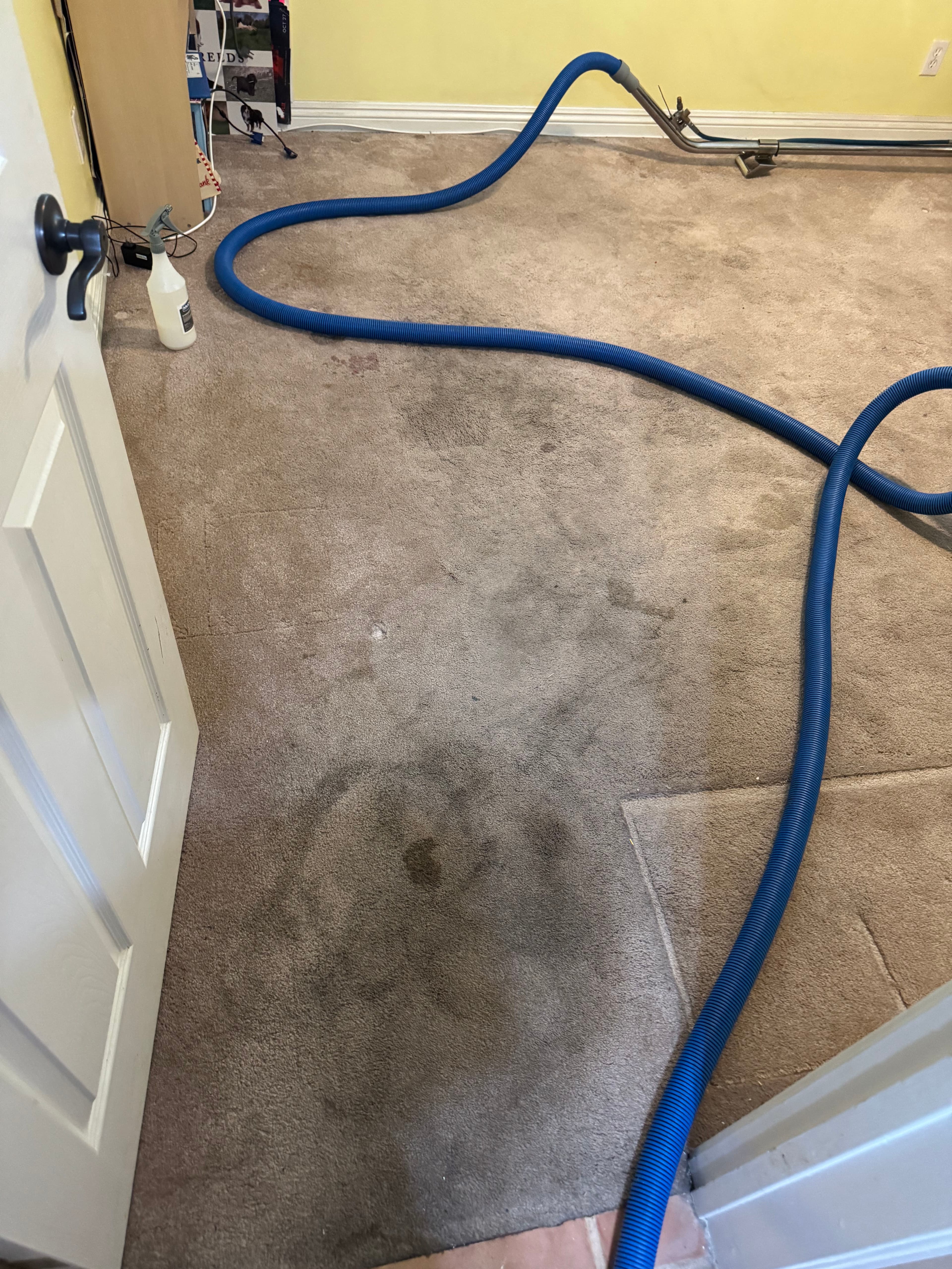 Project Sun Valley Carpet Cleaning That Pulls Out the Tough Stuff image