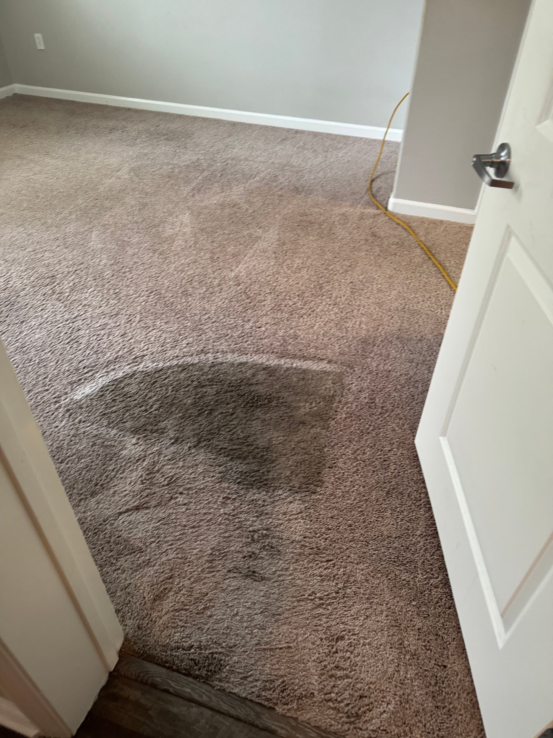 Carpet Cleaning Job Done Right in Simi Valley image