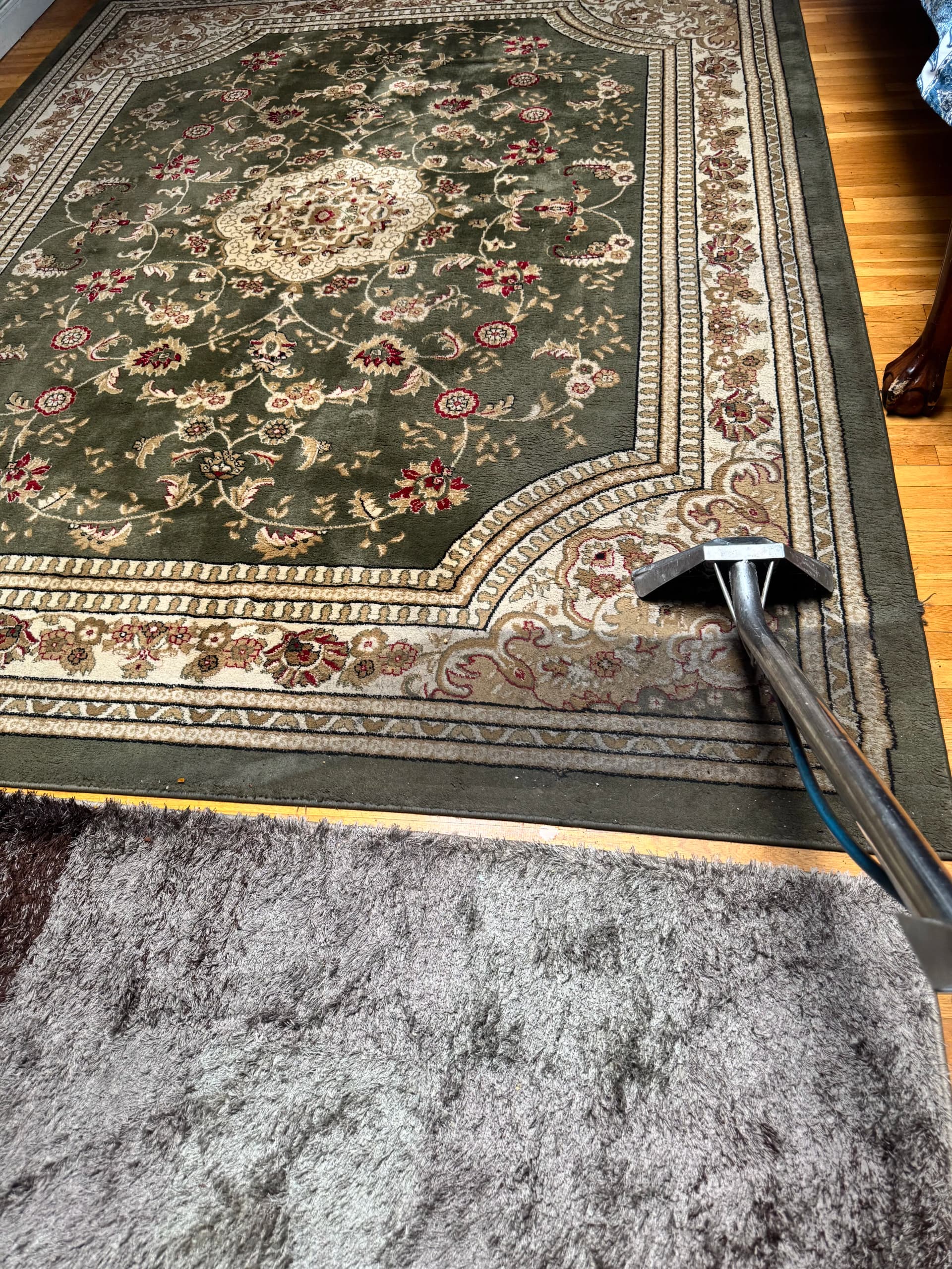 Area Rug Cleaning for a Los Angeles Home image