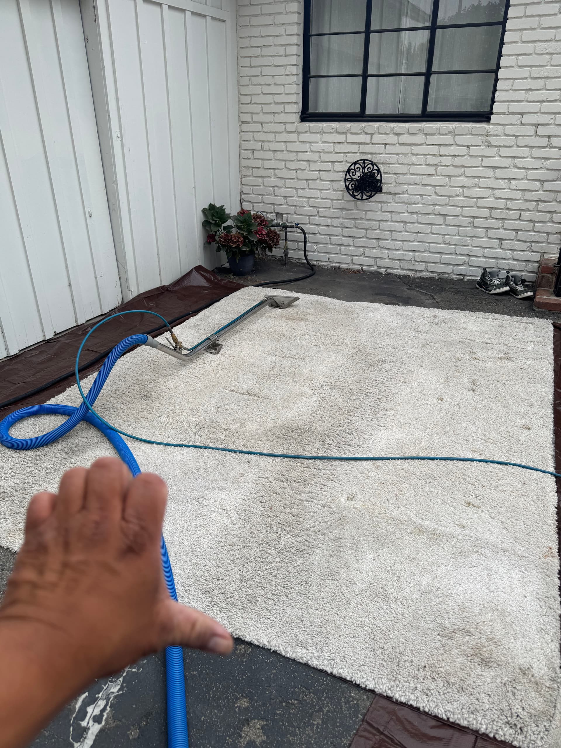 Gallery photos for Deep Rug Cleaning Done Right in Thousand Oaks: Image #3