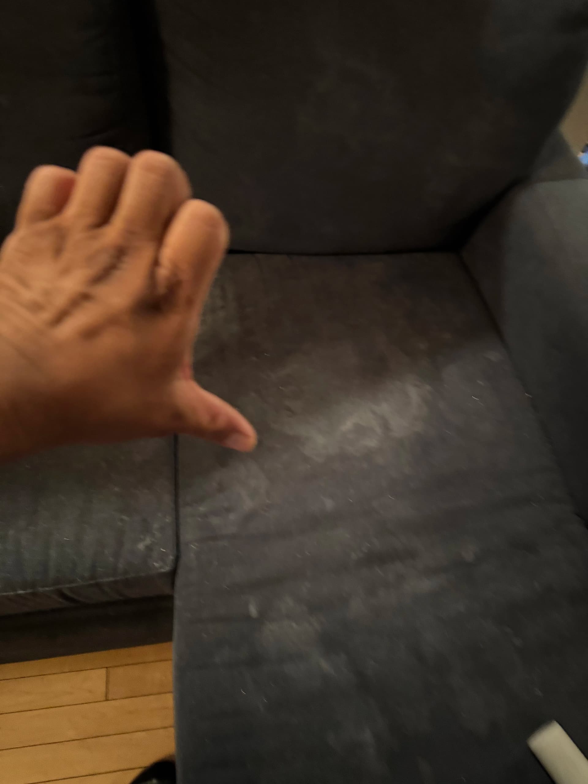 Gallery photos for Sherman Oaks Sofa Cleaning That Actually Made a Difference: Image #1